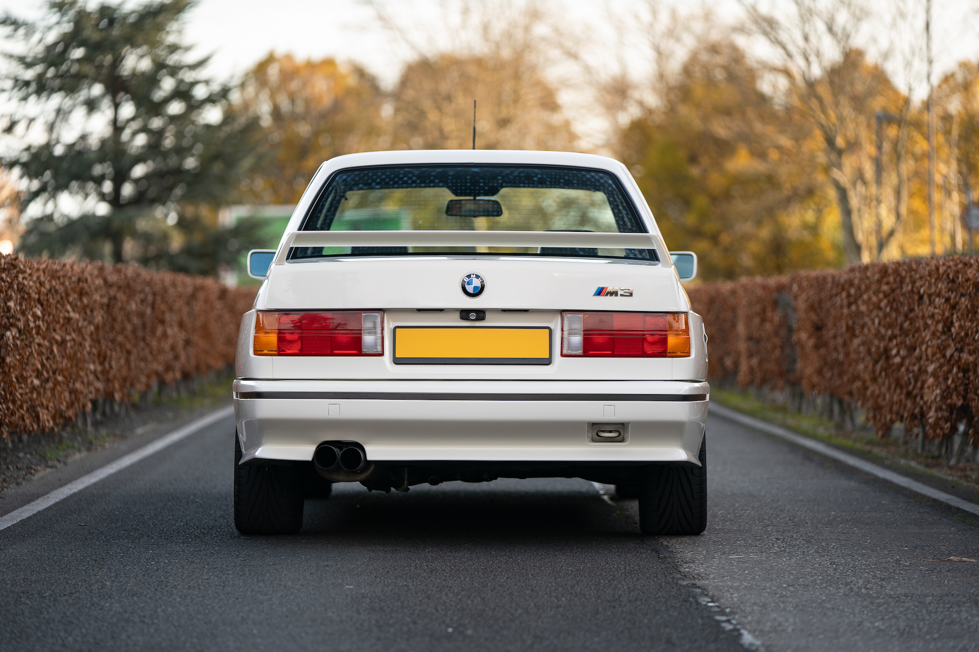 1987 BMW (E30) M3 - LHD for sale by auction in Dublin, Ireland