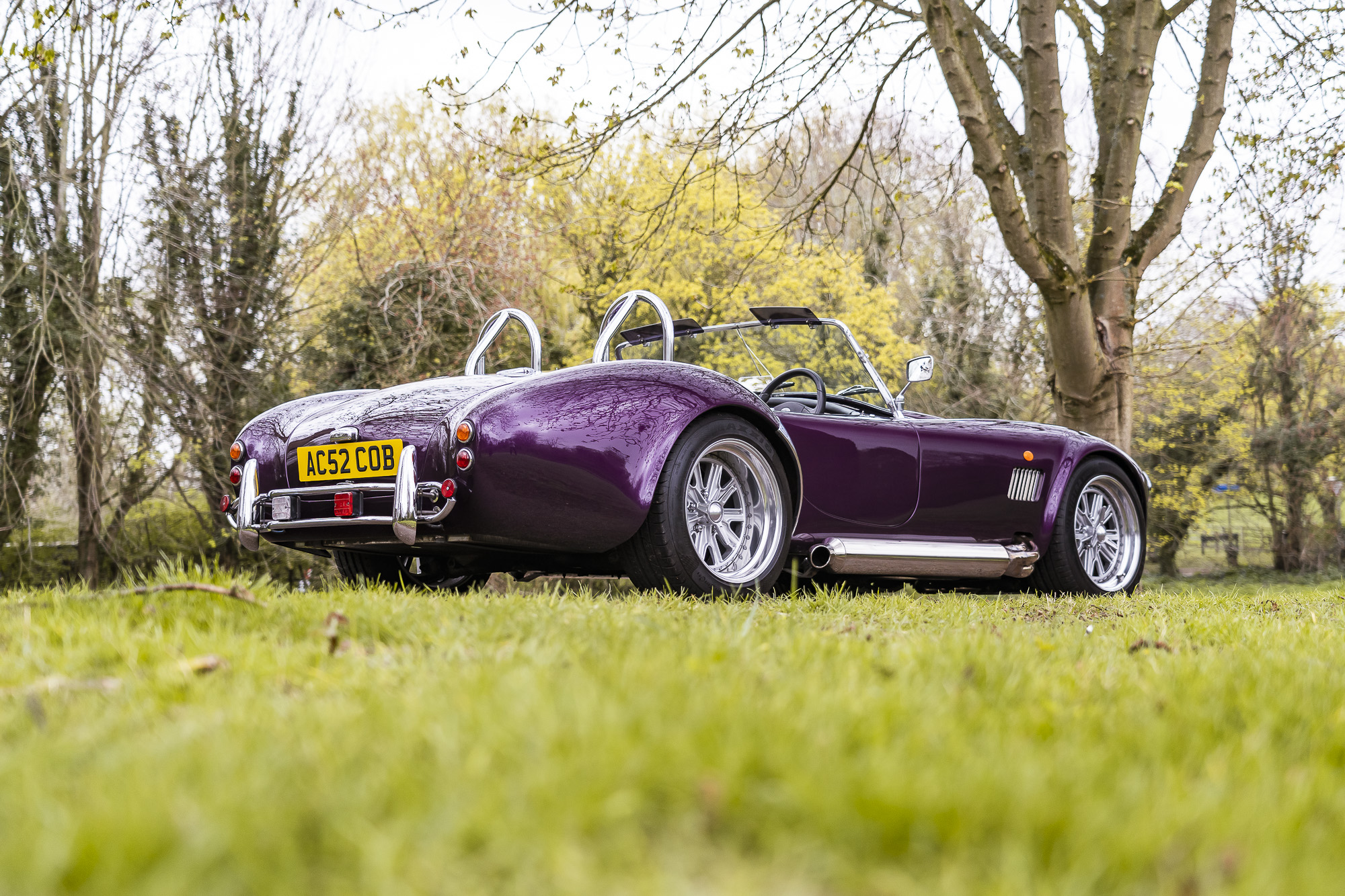 2002 DAX TOJEIRO COBRA REPLICA