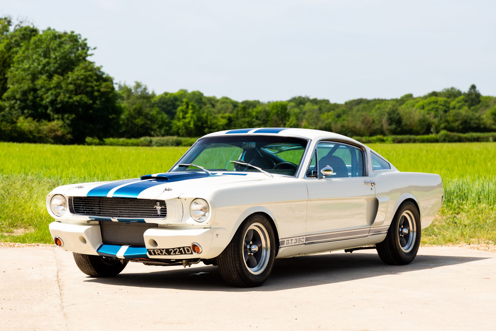 1966 FORD MUSTANG SHELBY GT350