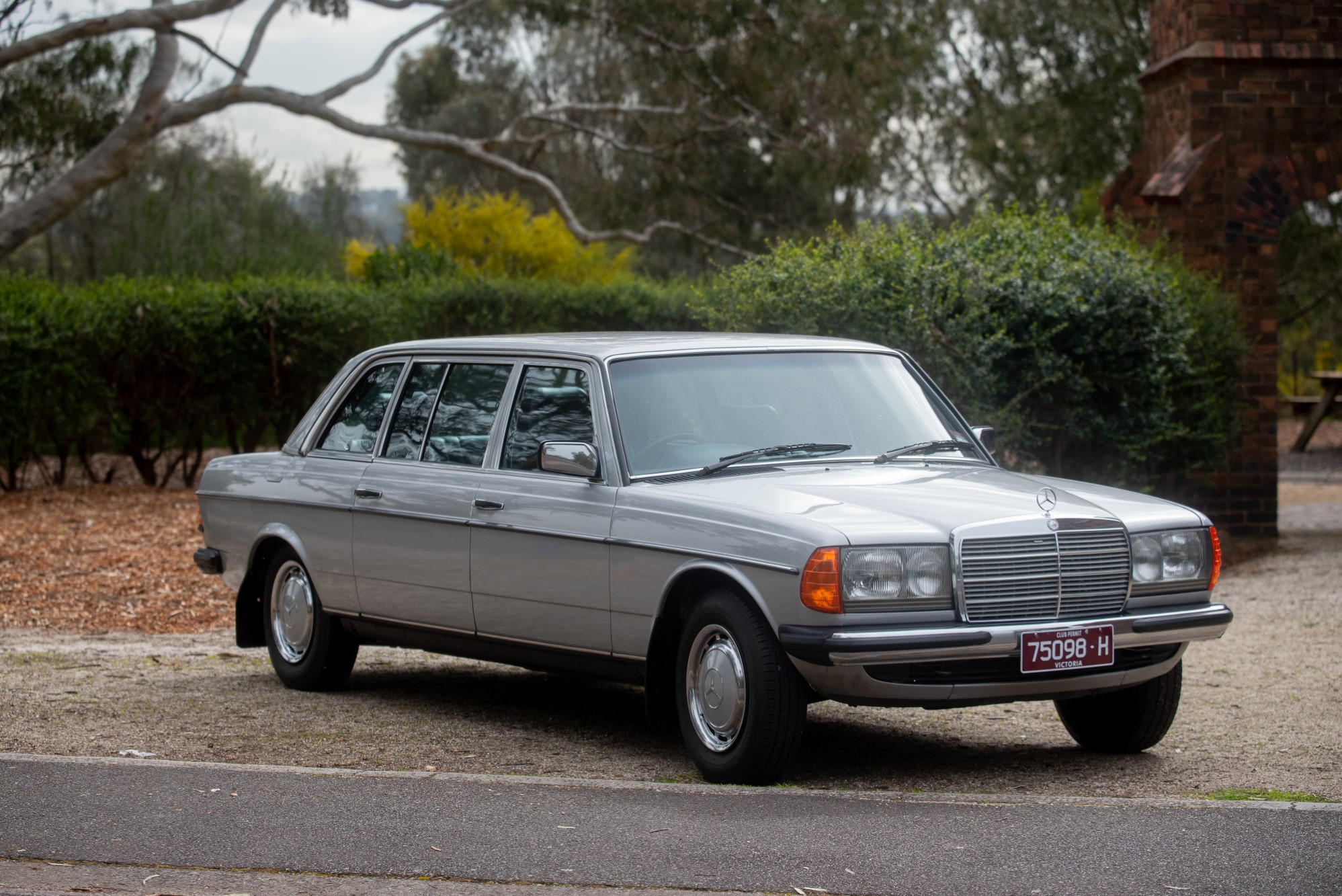 1985 MERCEDES-BENZ (V123) 250 LWB - LIMOUSINE