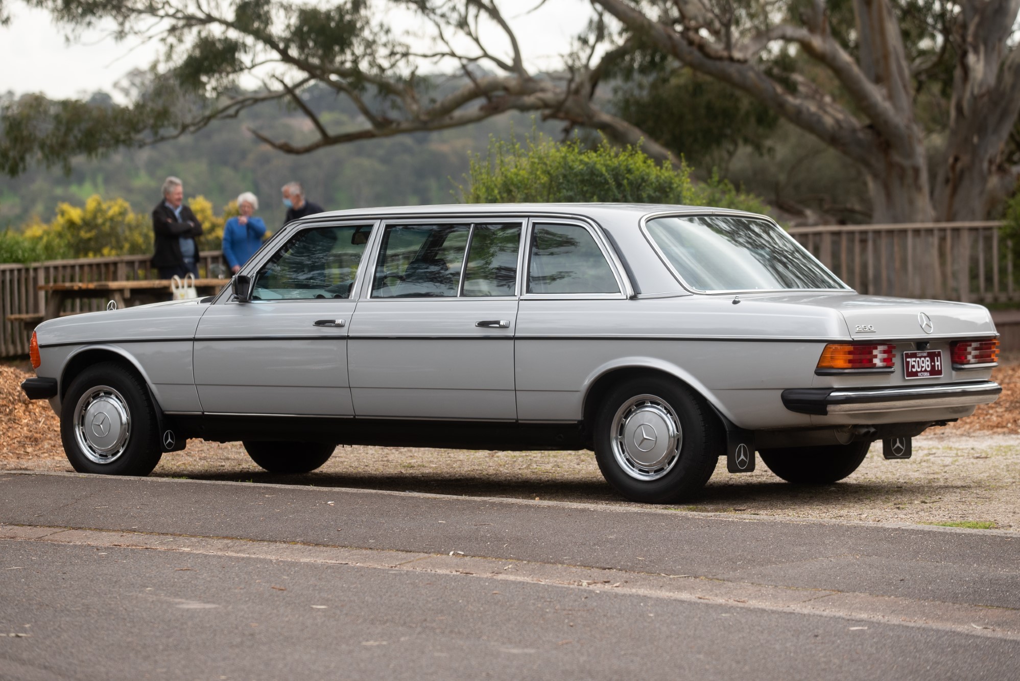 1985 MERCEDES-BENZ (V123) 250 LWB - LIMOUSINE for sale by auction in ...