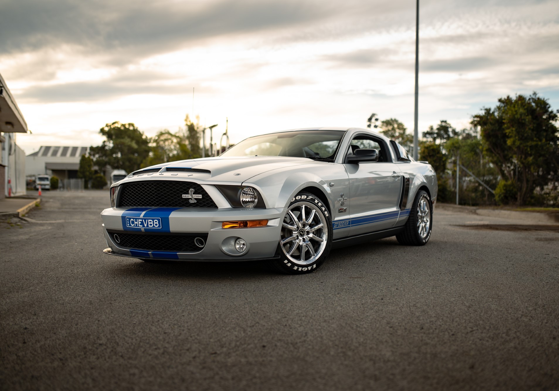 2009 SHELBY GT500KR