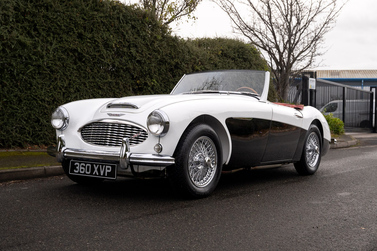 1959 AUSTIN HEALEY 100/6