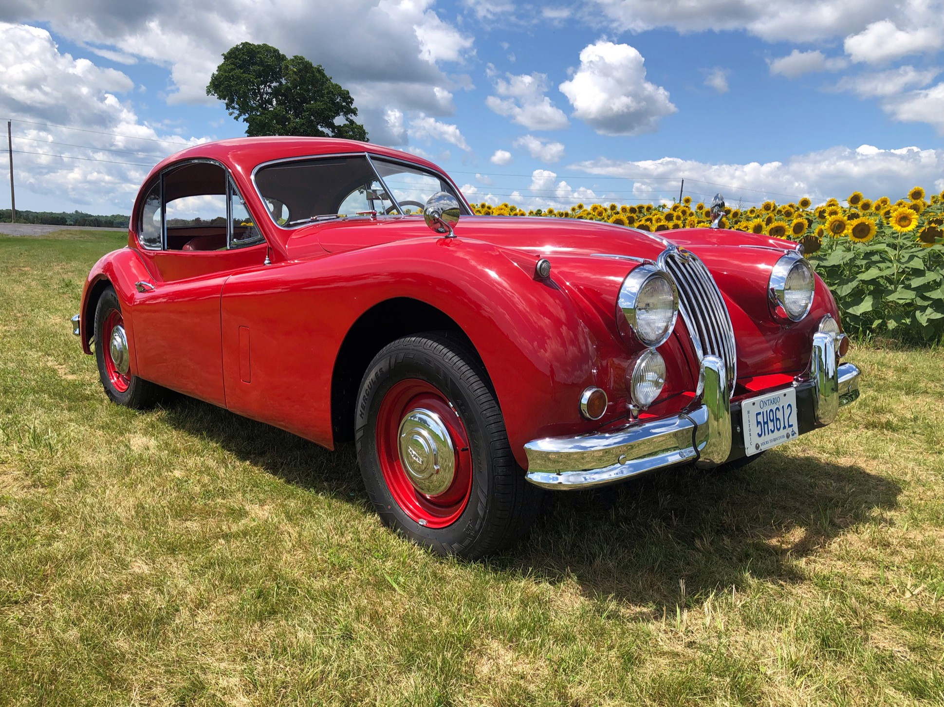 1955 JAGUAR XK140 FHC