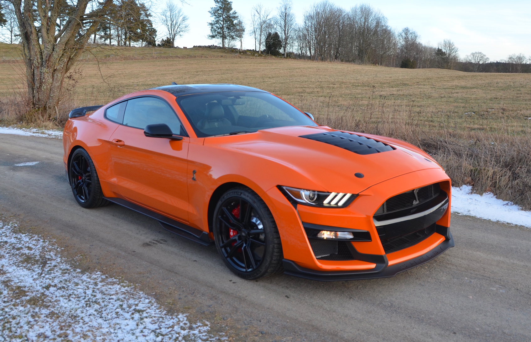 2020 FORD SHELBY MUSTANG GT500 - 521 KM - TAX DEDUCTIBLE