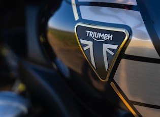 2019 TRIUMPH ROCKET III TFC - THORNTON HUNDRED CUSTOM
