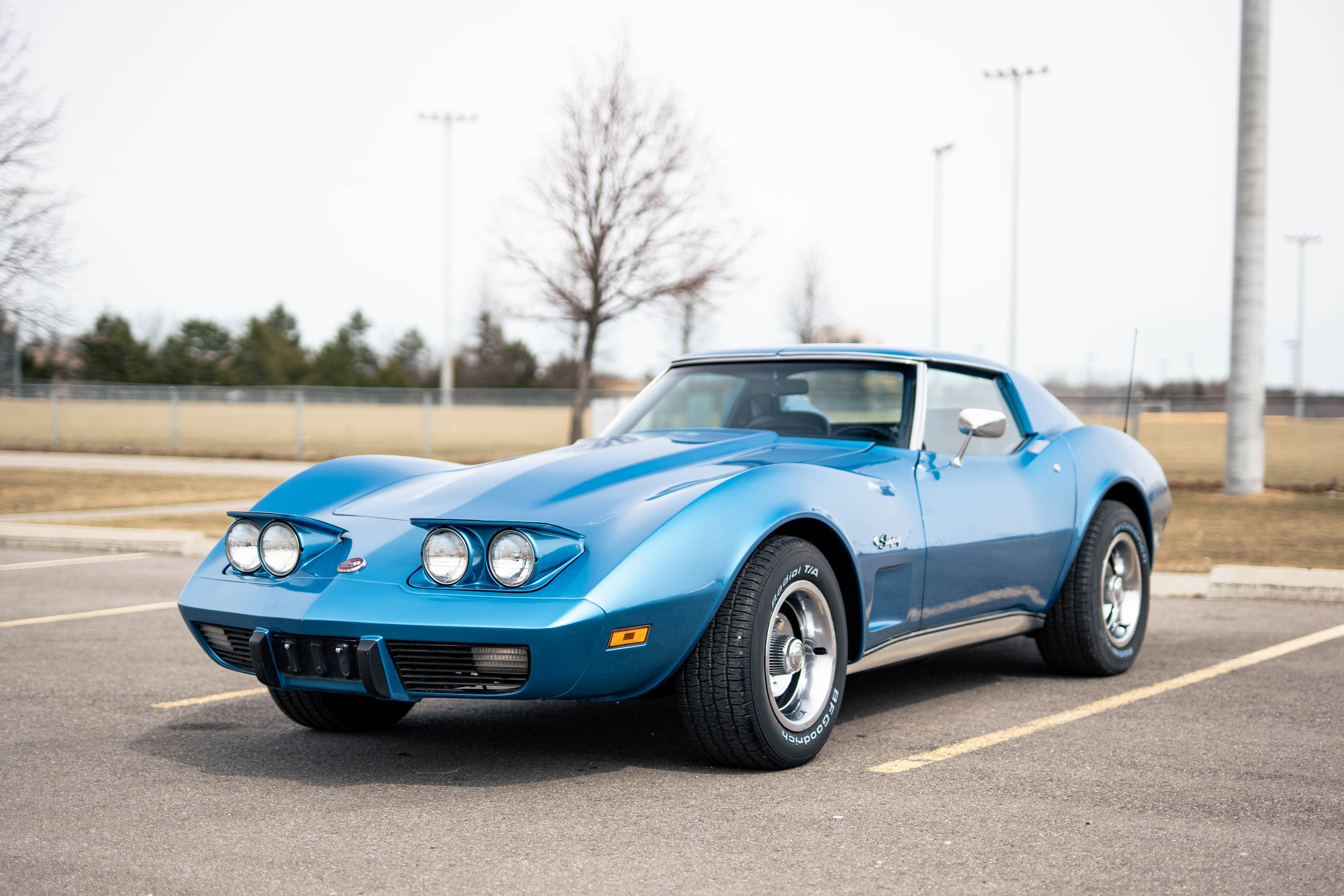 1975 CHEVROLET CORVETTE STINGRAY (C3)