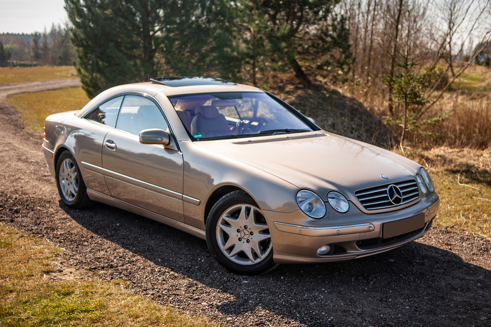 2002 MERCEDES-BENZ (C215) CL500