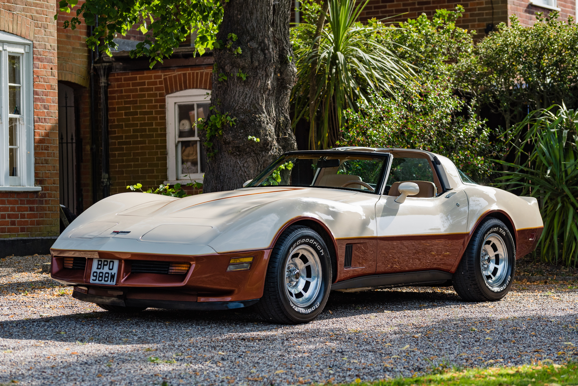 1981 CHEVROLET CORVETTE STINGRAY (C3)