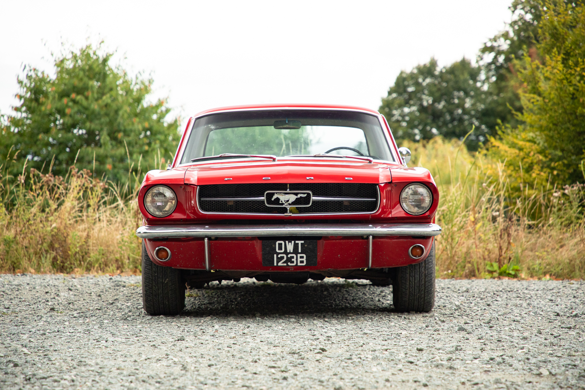 1964 FORD MUSTANG 260 HARDTOP