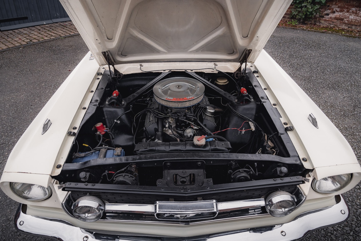 Für Ford Mustang Shelby GT Vordere Motorhaube Hinten Trunk Boot