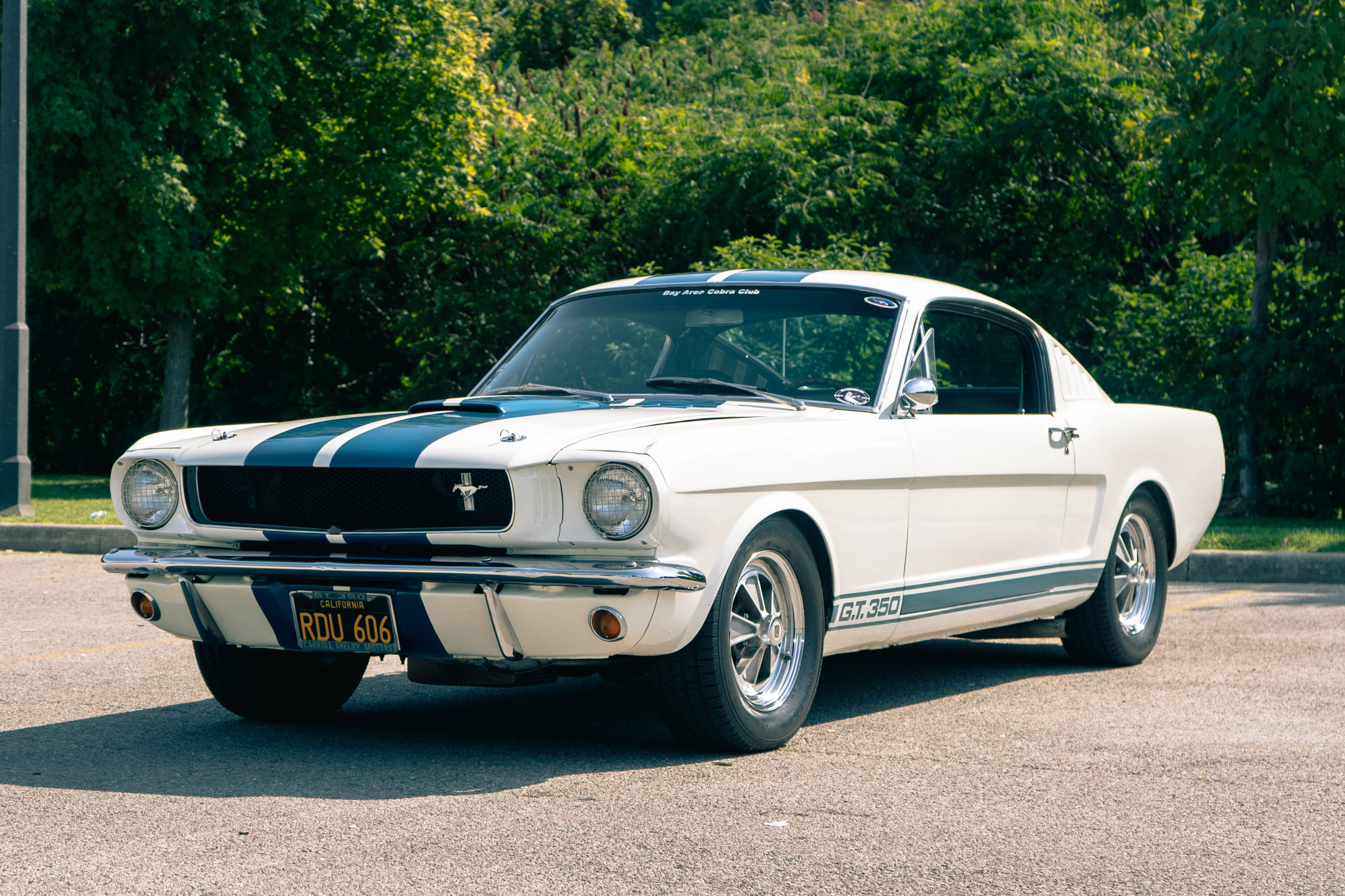 1965 FORD MUSTANG FASTBACK - GT350 TRIBUTE