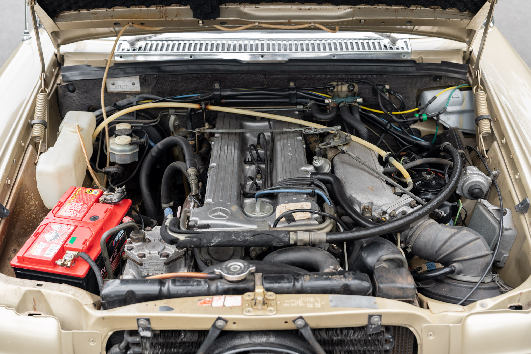 1975 MERCEDES-BENZ (W114) 280 CE COUPE for sale by auction in Belrose ...