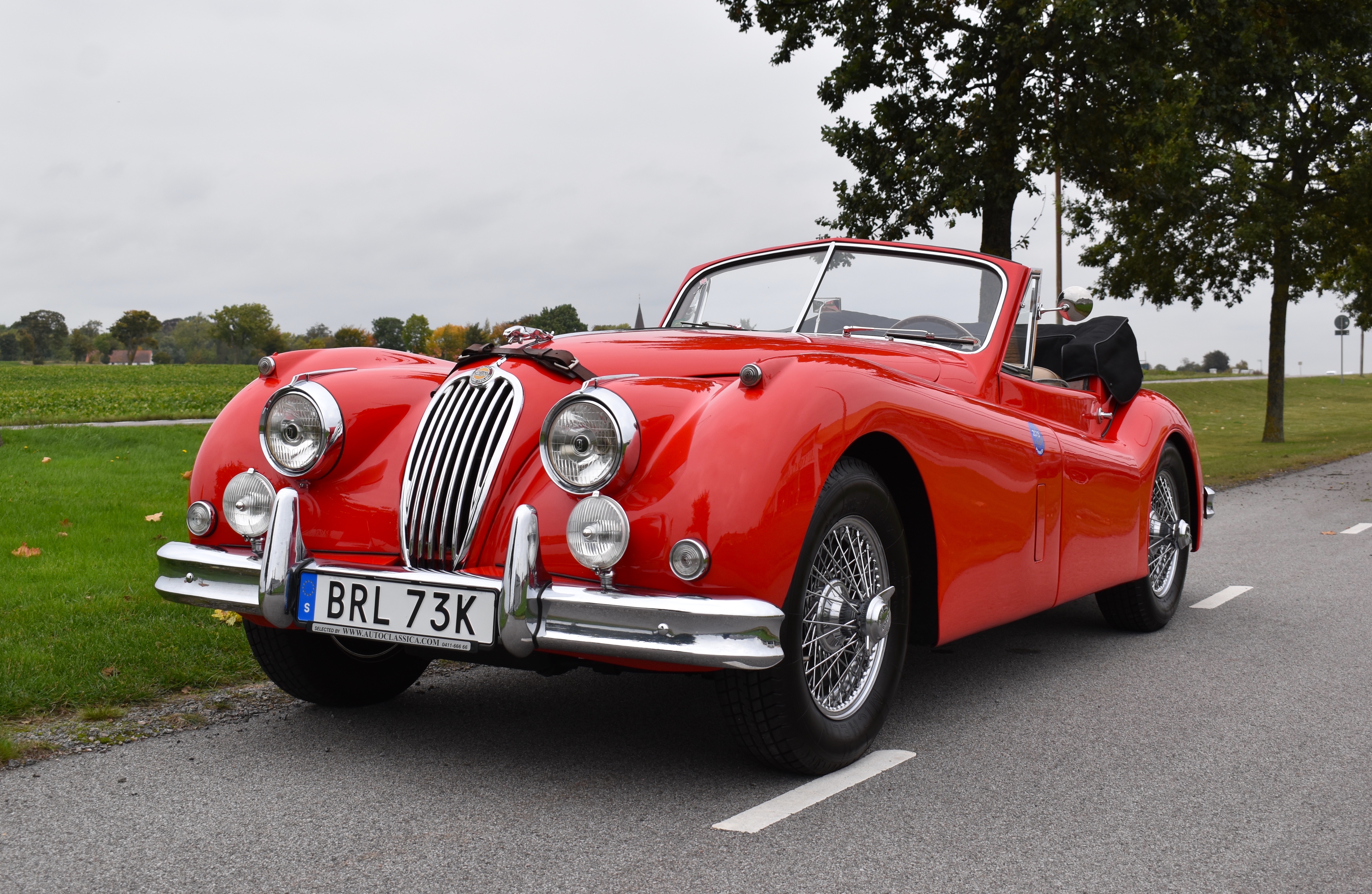 1954 JAGUAR XK140 DHC