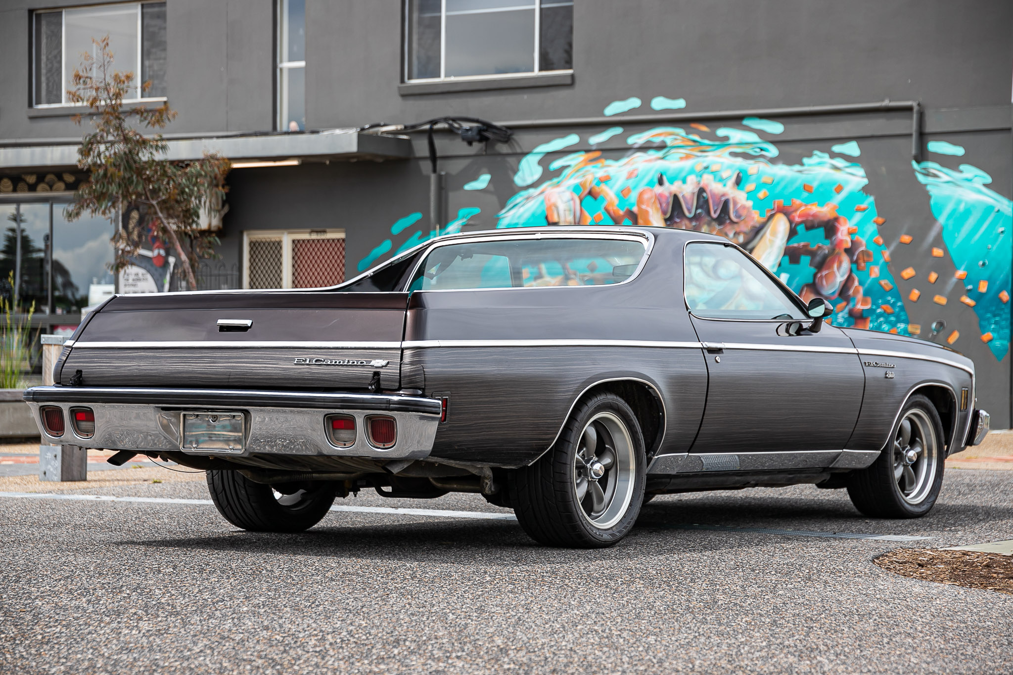 1973 CHEVROLET EL CAMINO