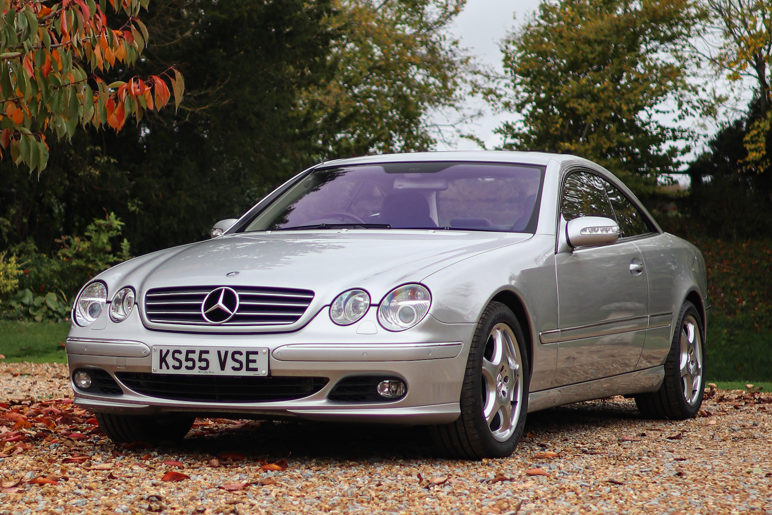 2006 MERCEDES-BENZ (C215) CL 500