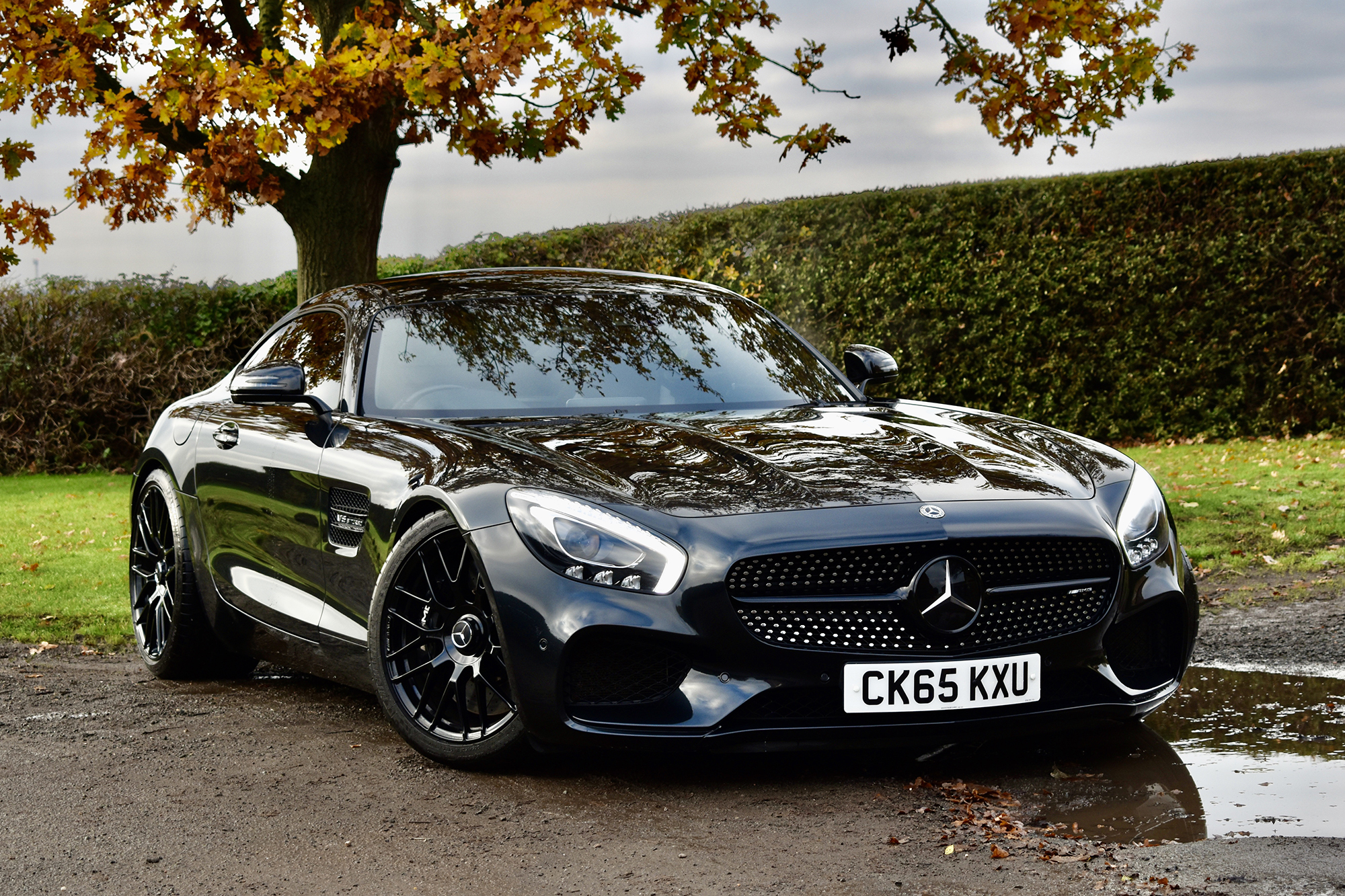 2015 MERCEDES-AMG GT S