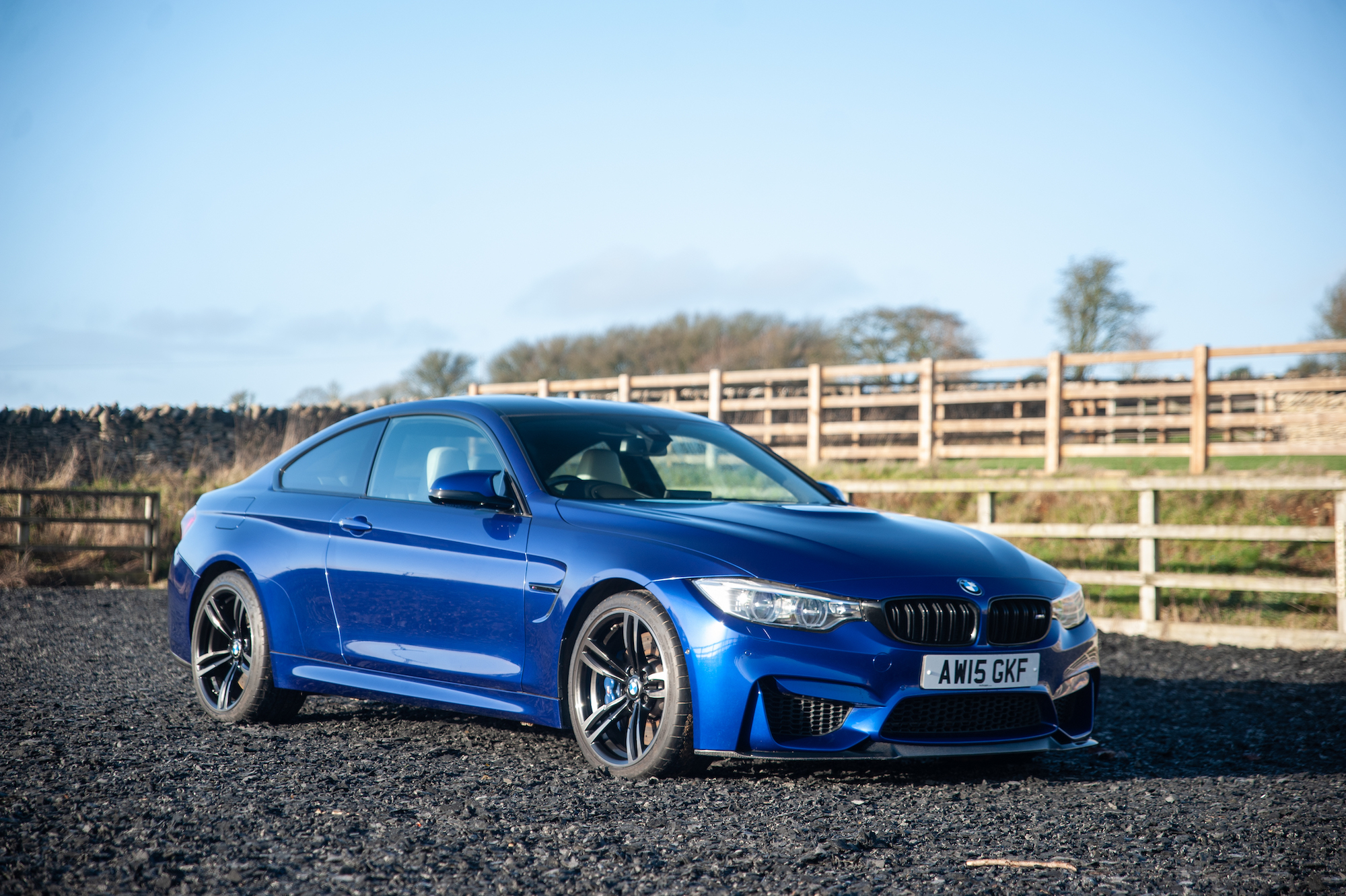 2015 BMW (F82) M4