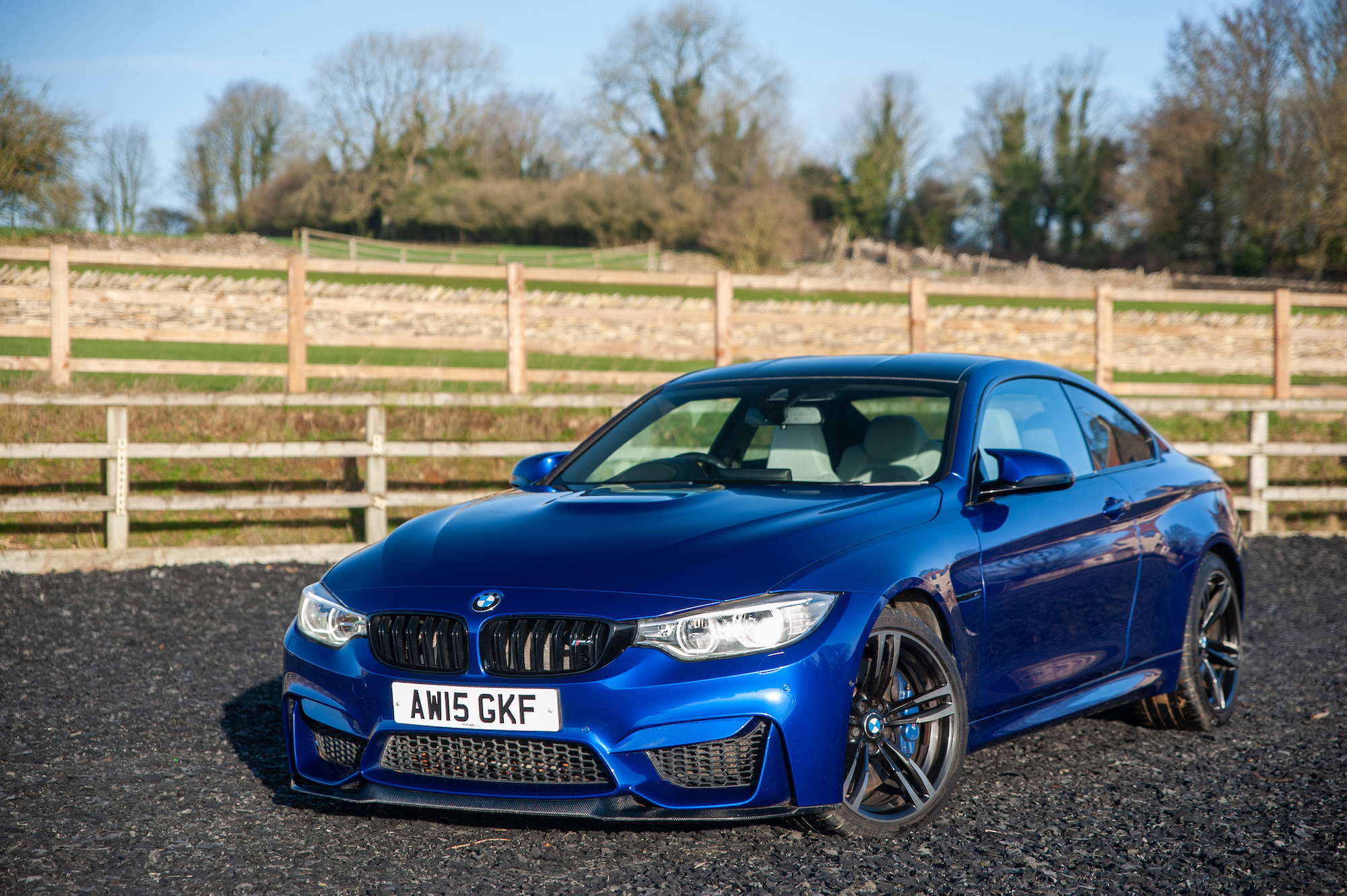 2015 BMW (F82) M4