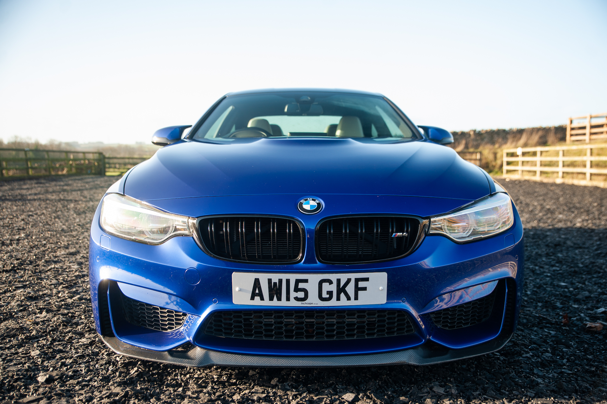 2015 BMW (F82) M4