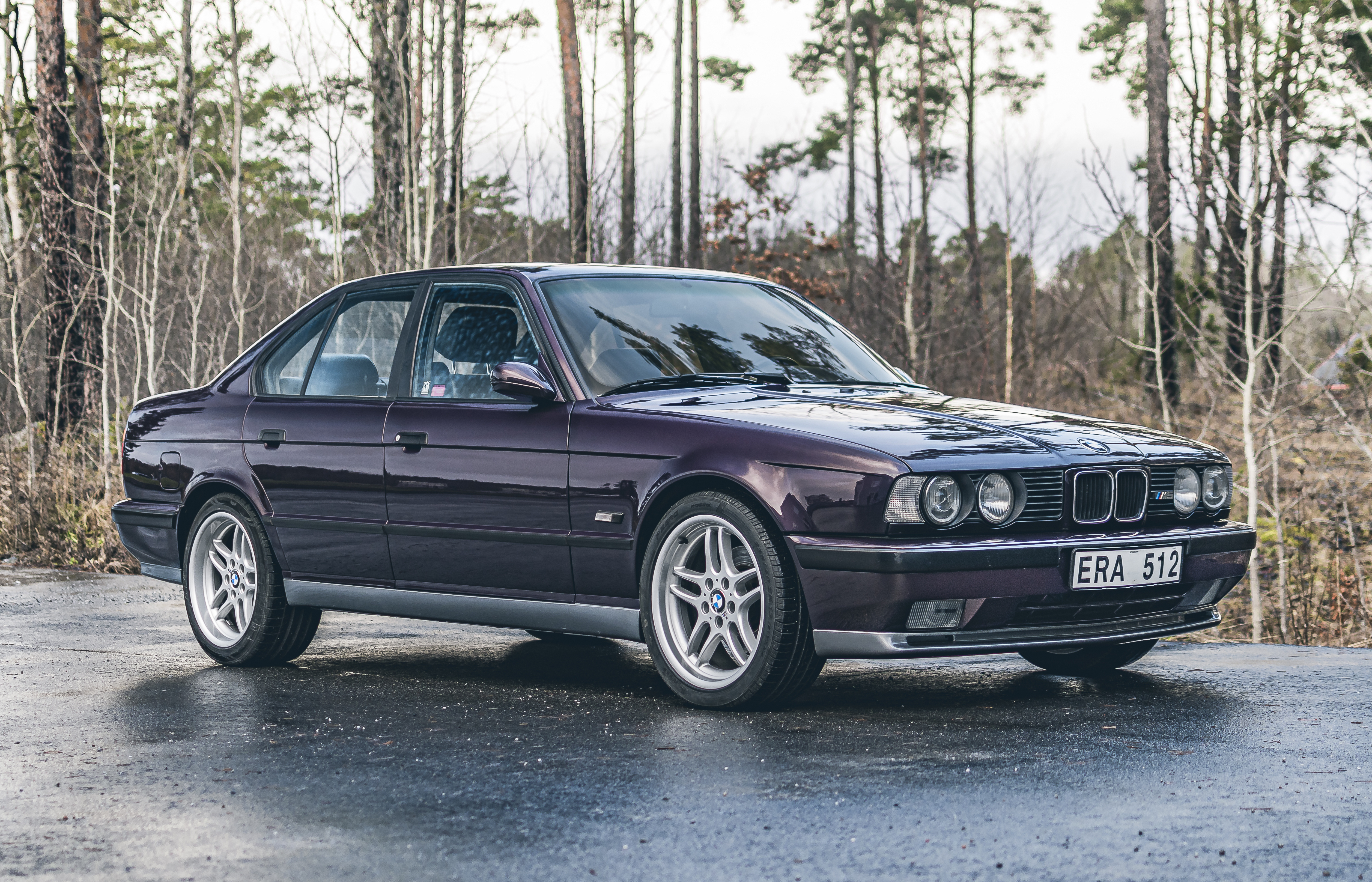 1992 BMW (E34) M5 - NURBURGRING EDITION