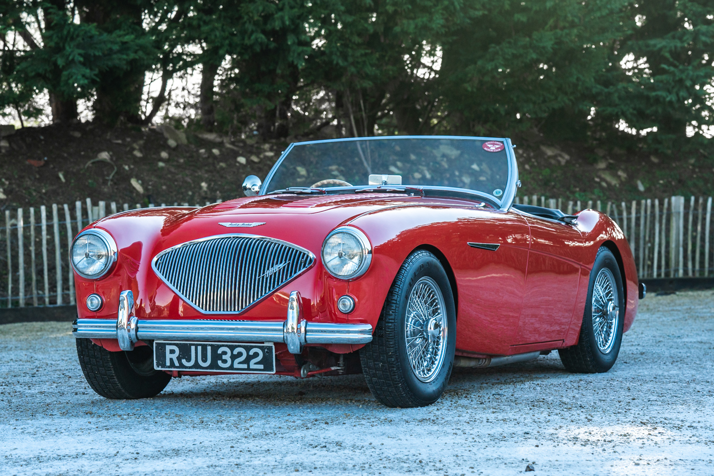 1955 AUSTIN HEALEY 100/4 BN1