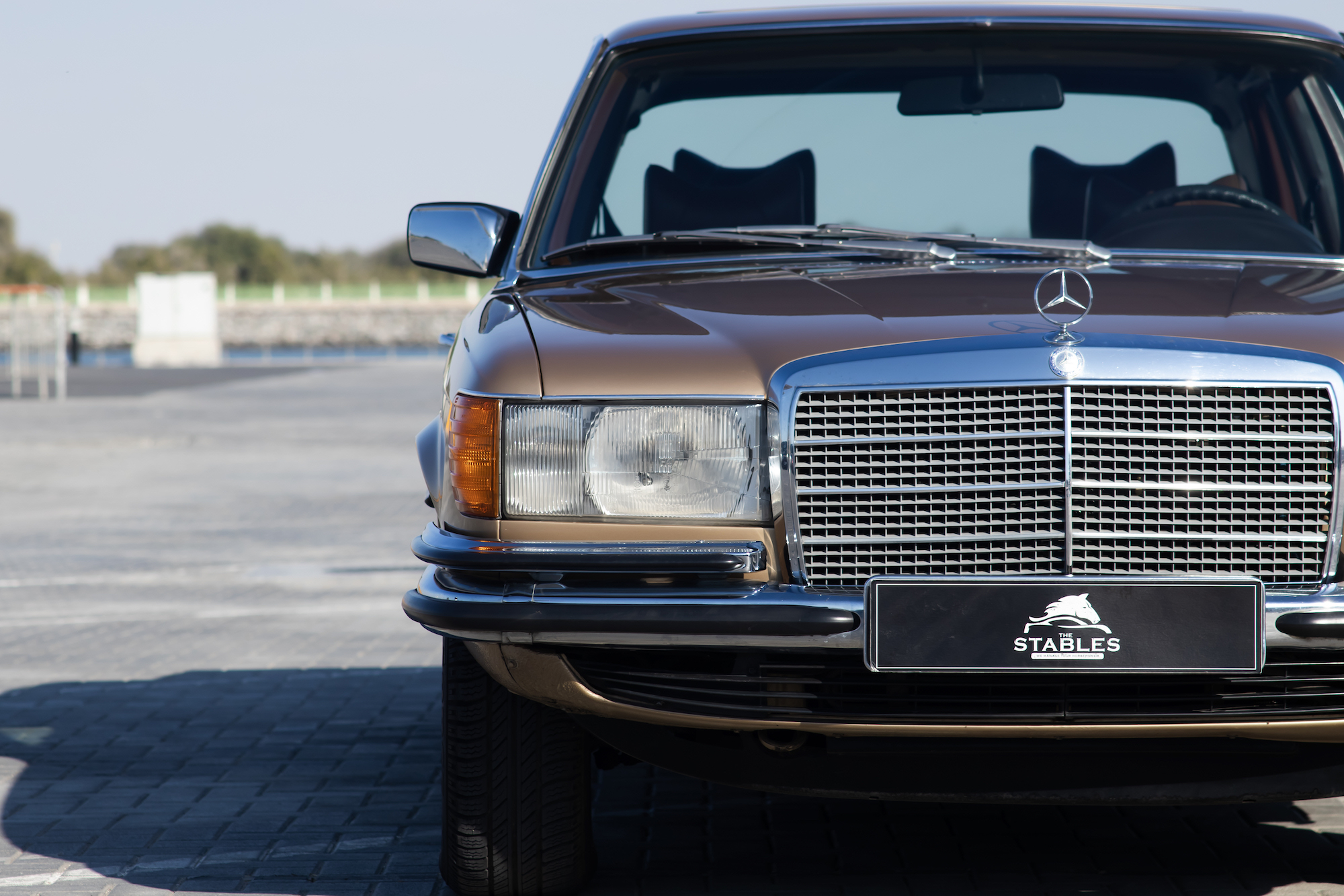 1979 MERCEDES-BENZ (W116) 450 SEL 6.9
