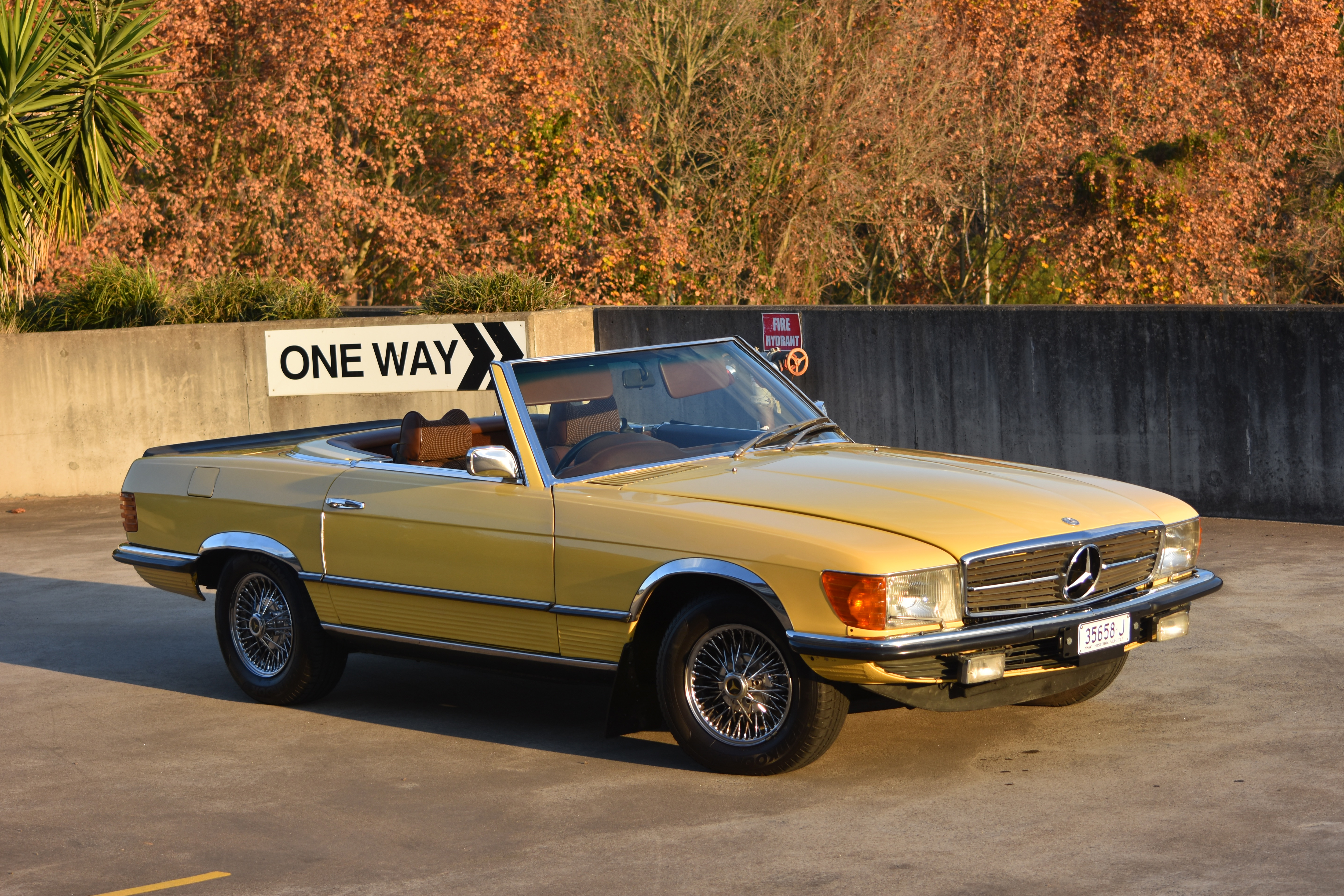 1973 MERCEDES-BENZ (R107) 450 SL