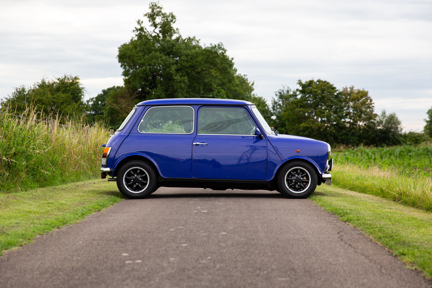 rover mini paul smith