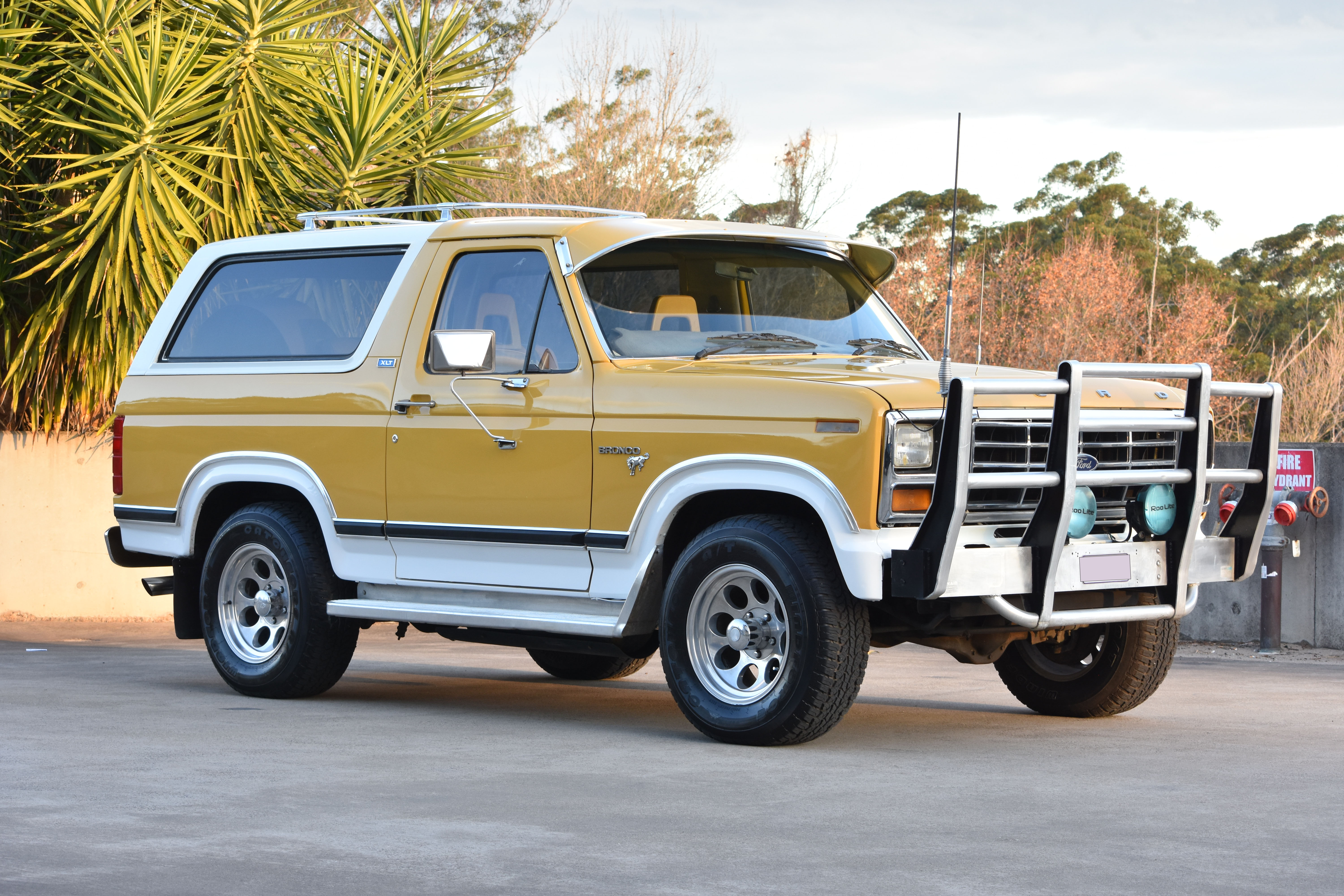 1981 FORD BRONCO XLT