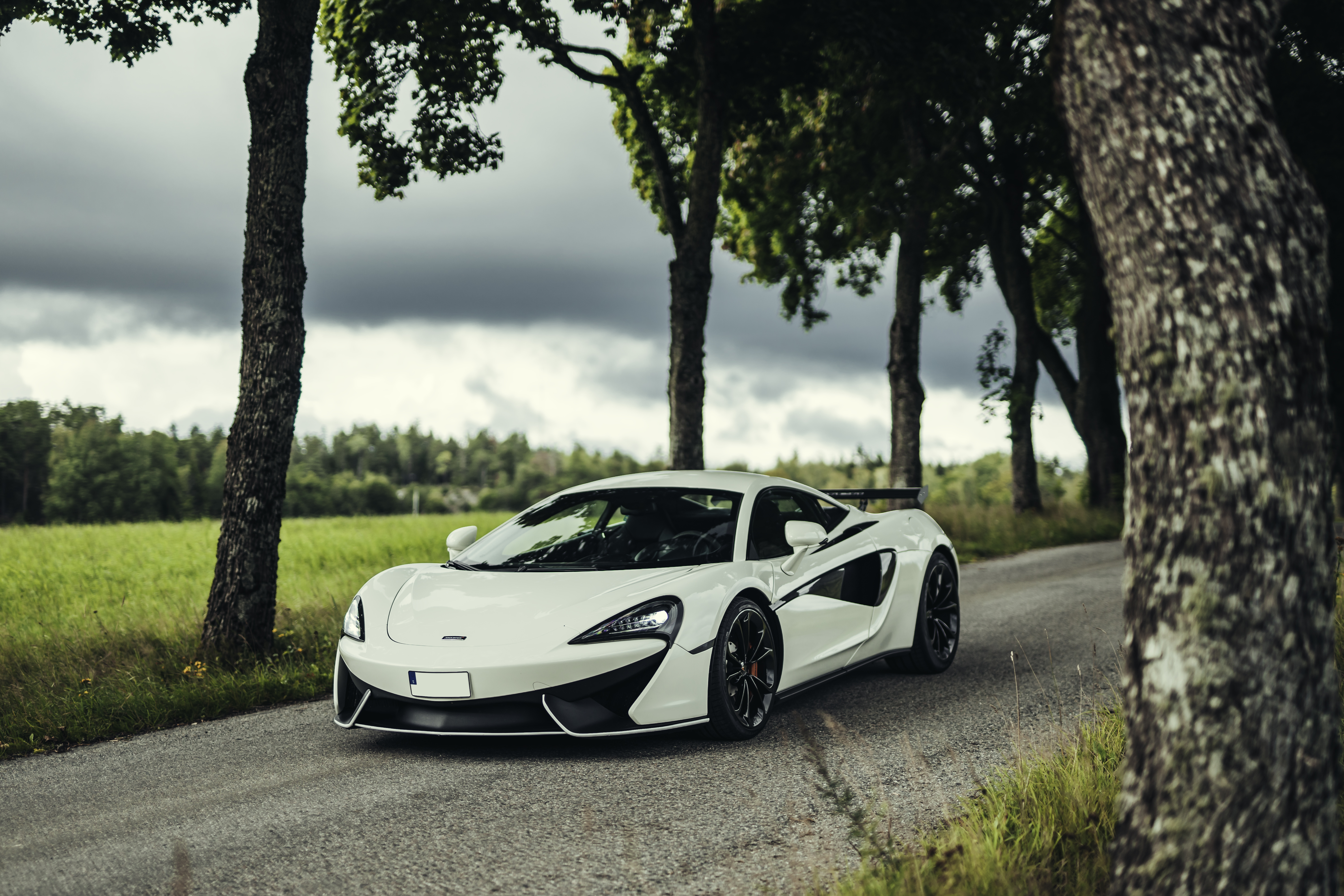 2016 MCLAREN 540C for sale by auction in Stockholm, Sweden