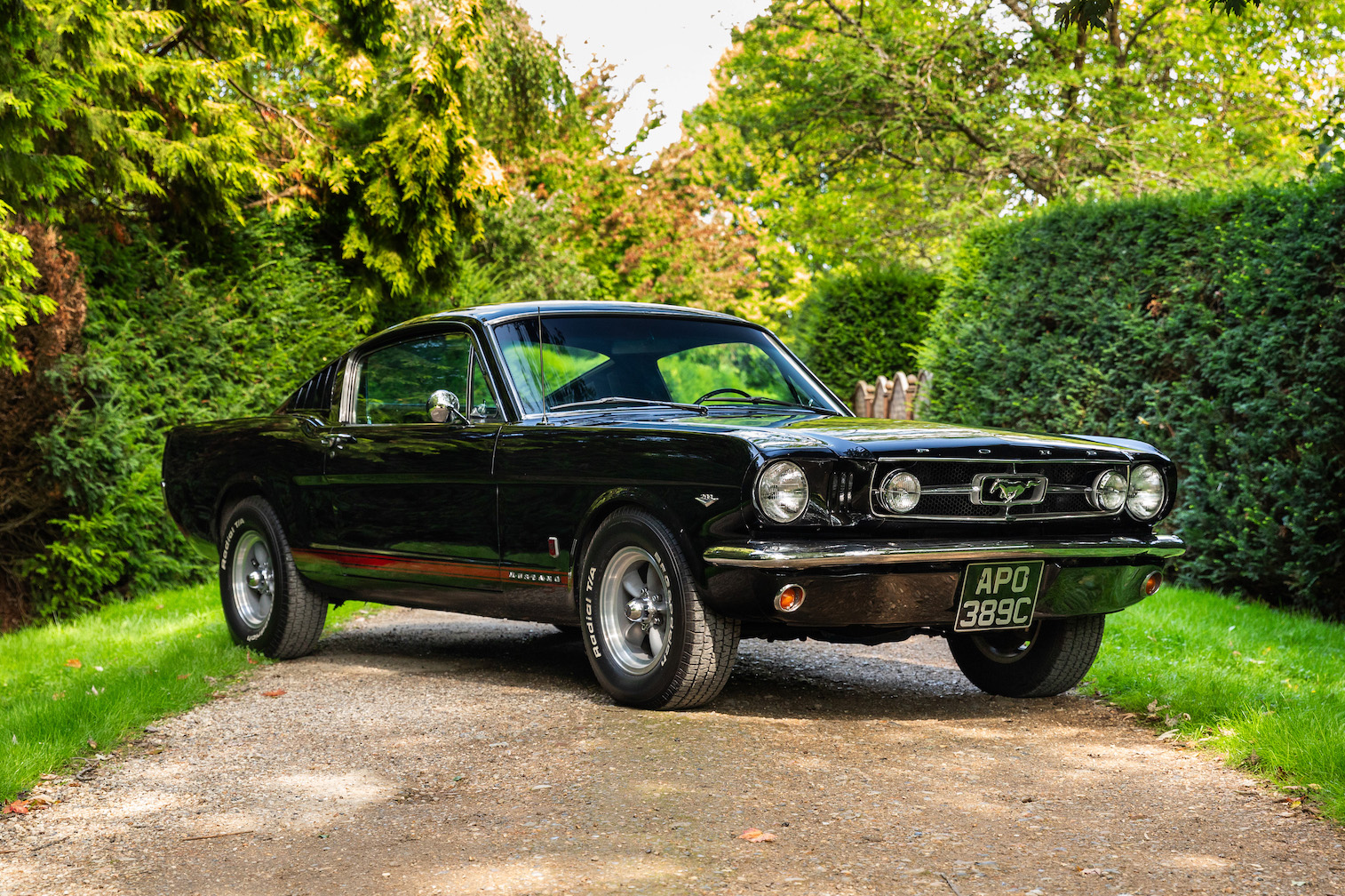 1965 FORD MUSTANG GT FASTBACK