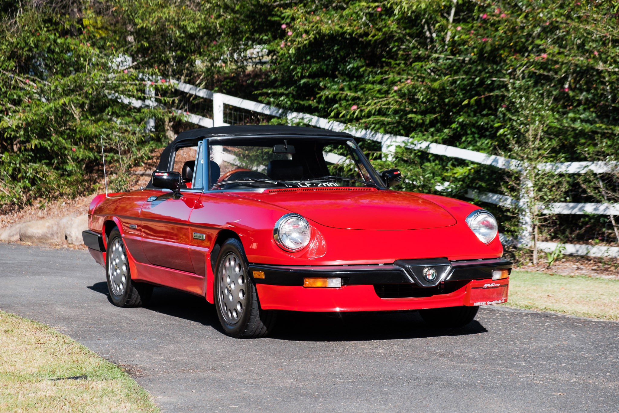 1989 ALFA ROMEO SPIDER S3 QUADRIFOGLIO