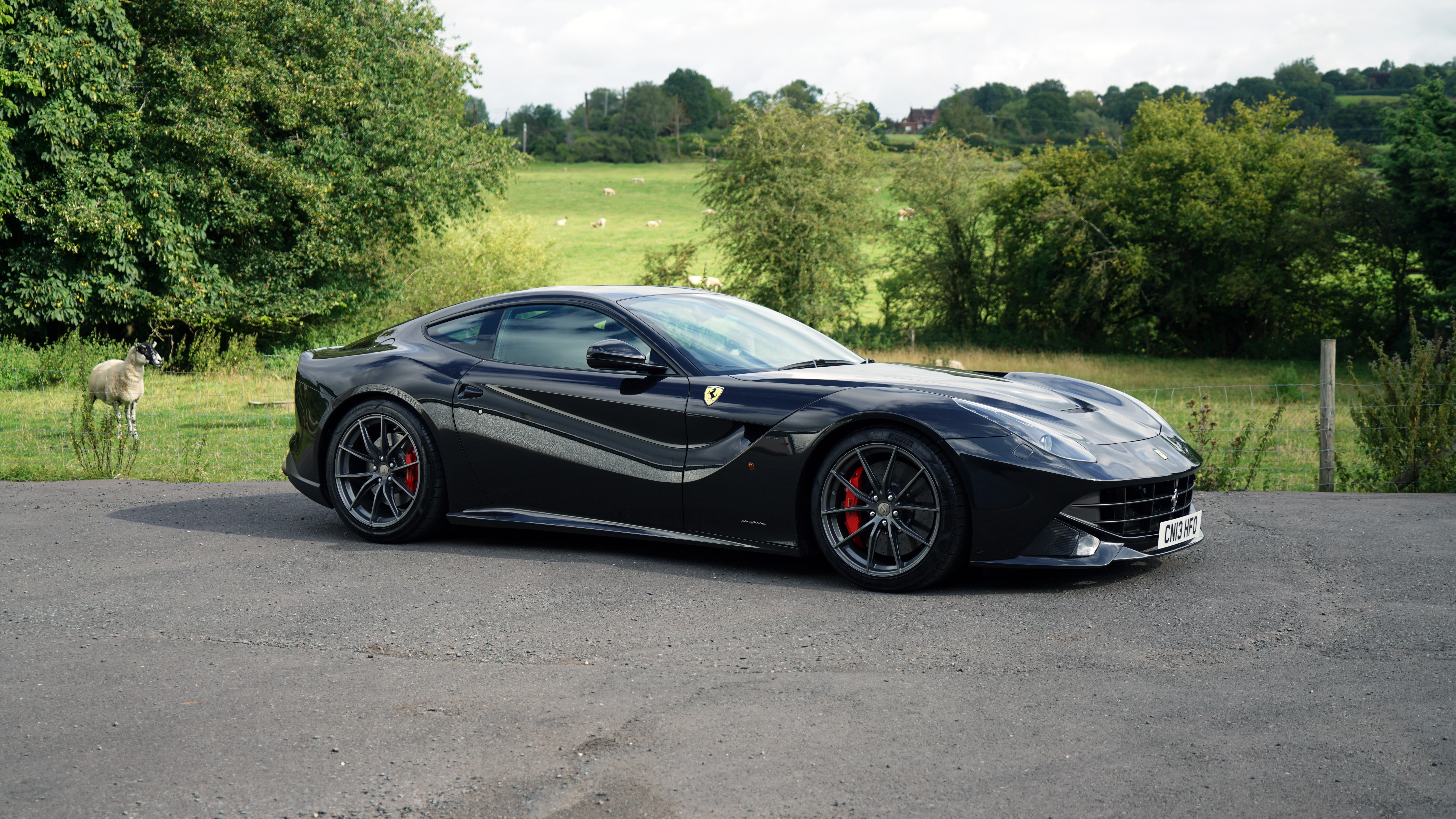 2013 Ferrari F12 Berlinetta