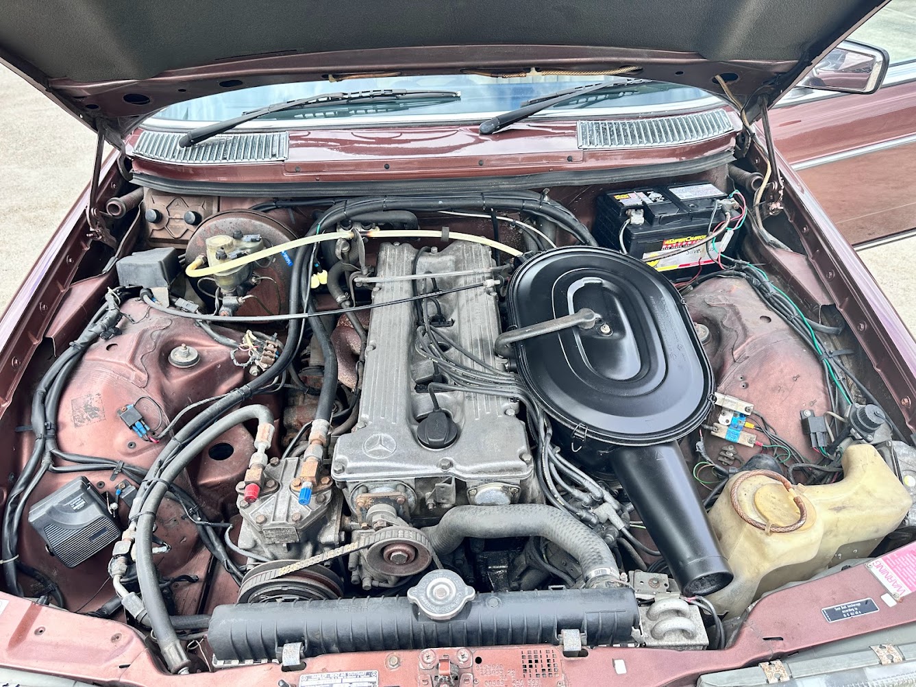 1979 Mercedes-Benz (W123) 280 CE for sale by auction in Dural, NSW ...