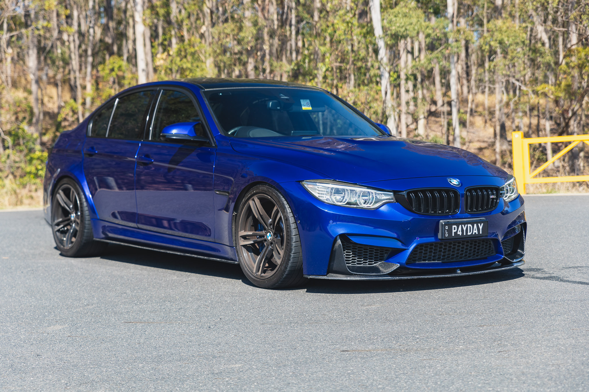 2016 BMW (F80) M3