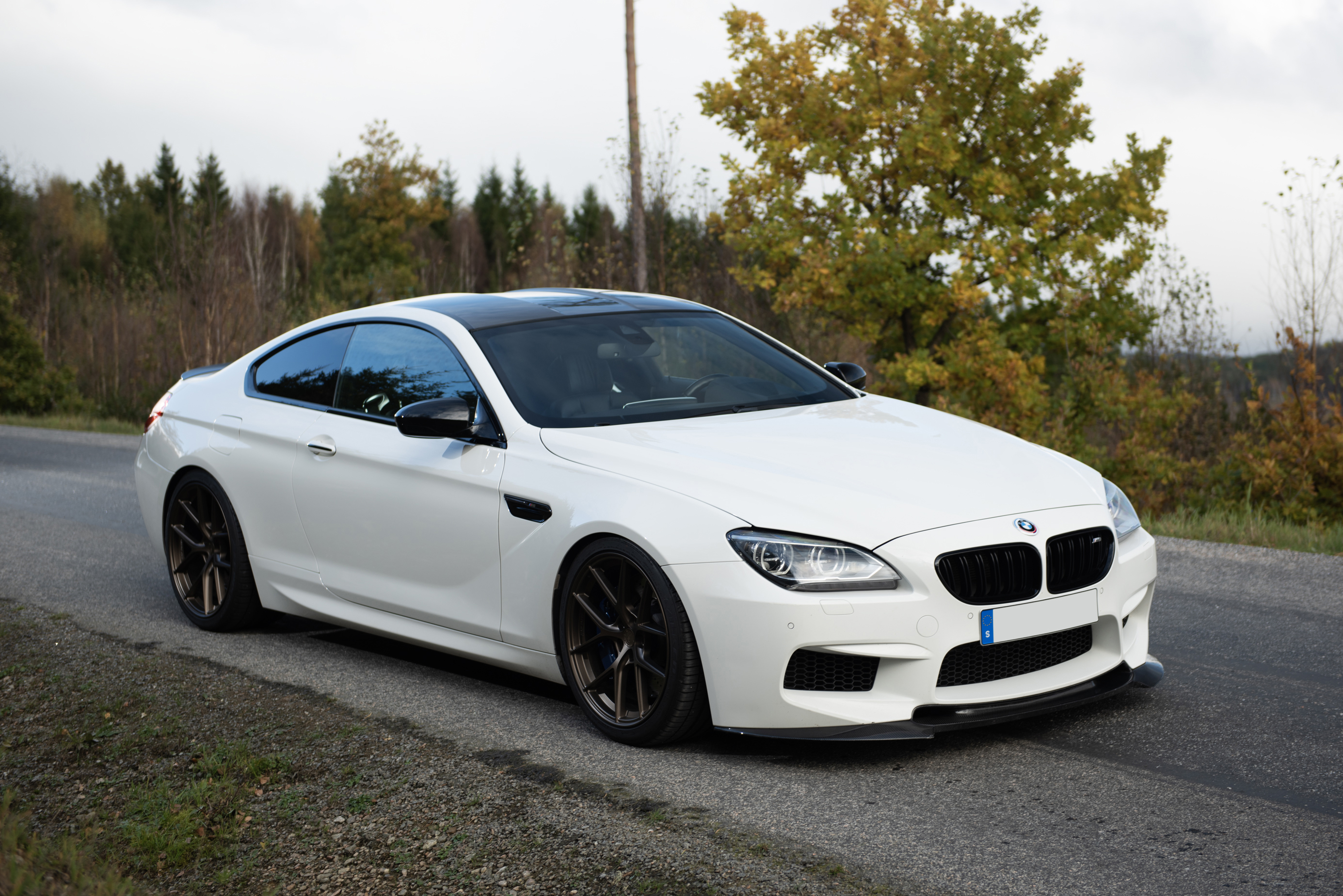 2013 BMW (F13) M6