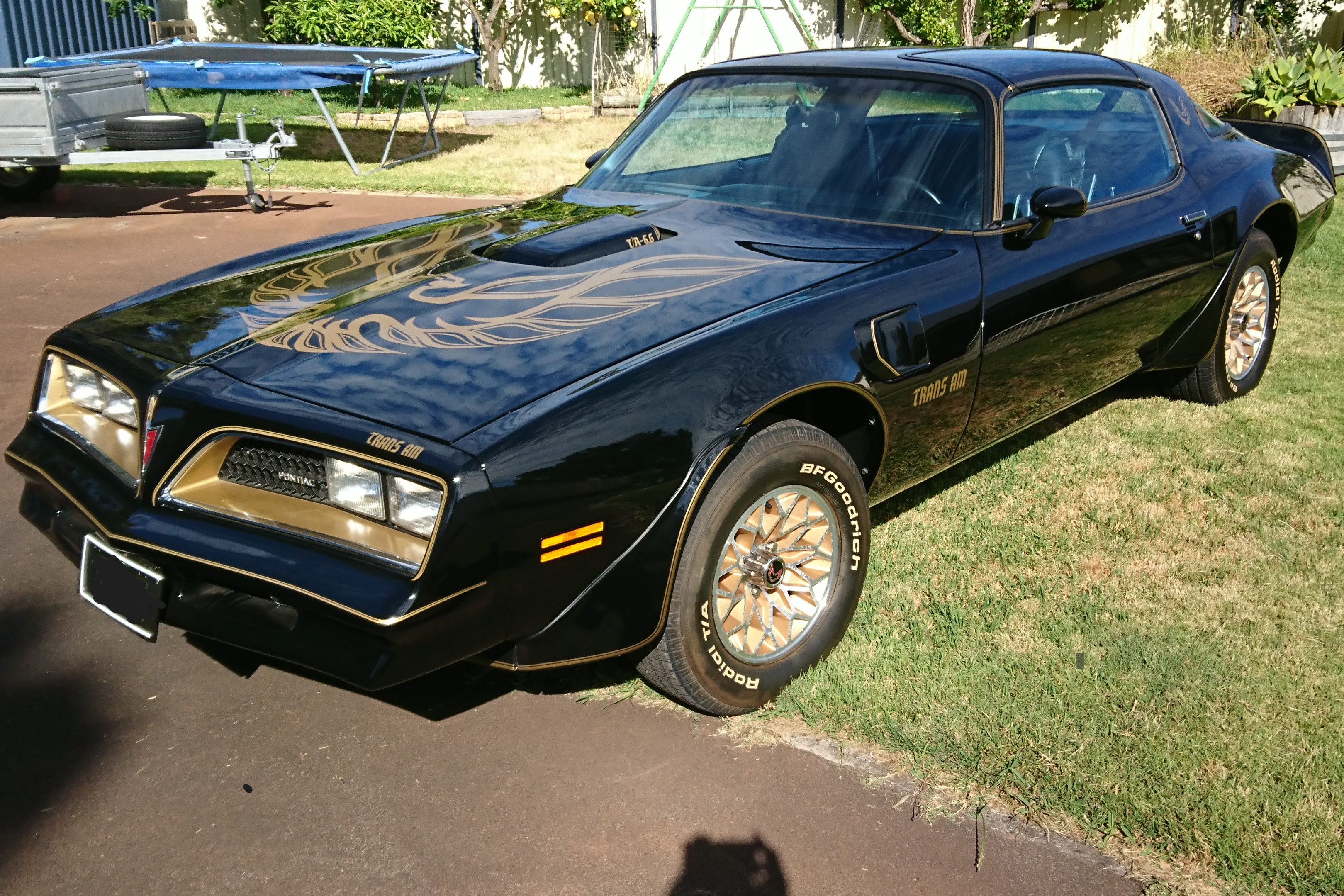 1977 Pontiac Trans Am (Y82) Special Edition