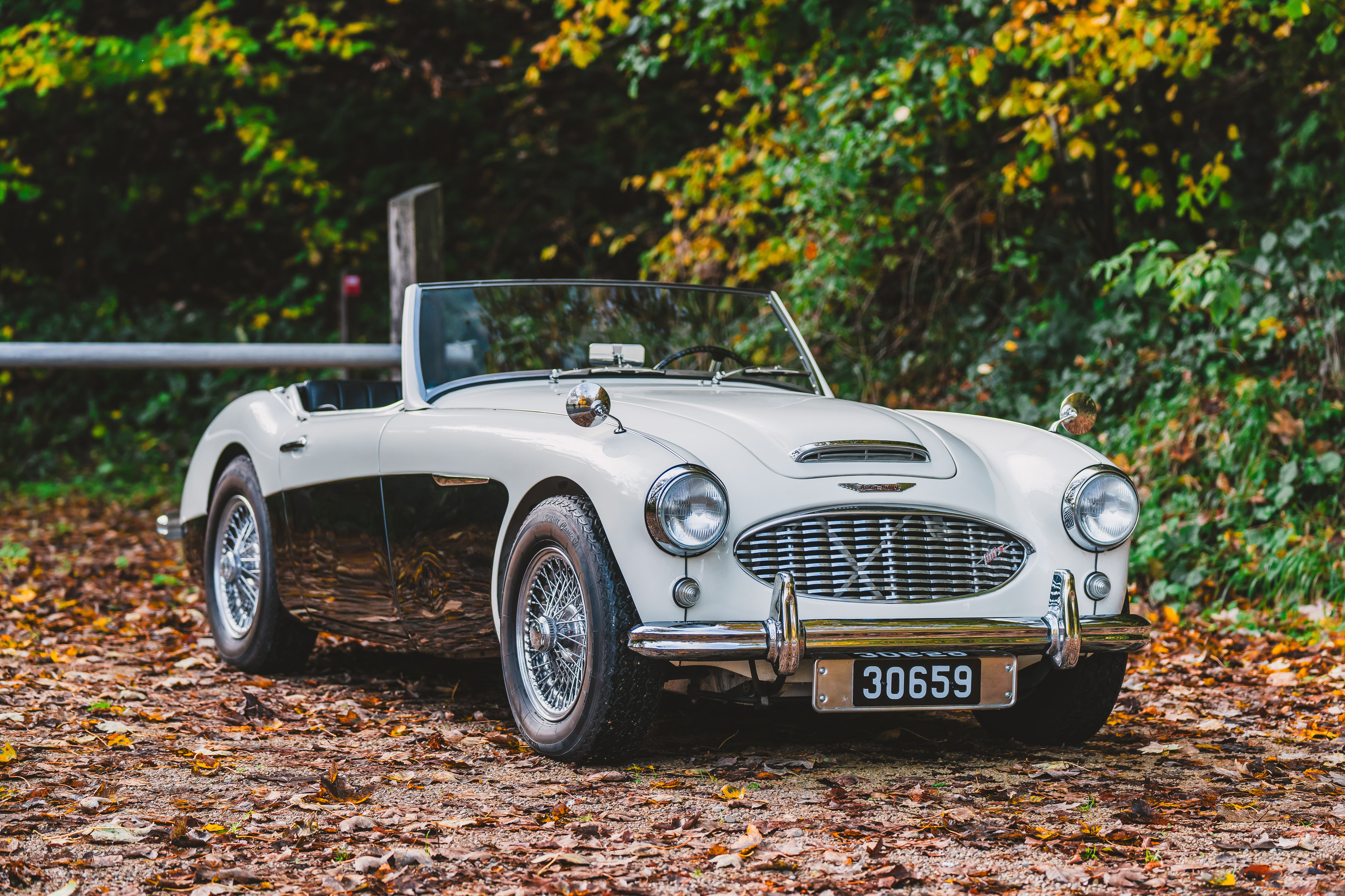 1956 Austin Healey 100/6