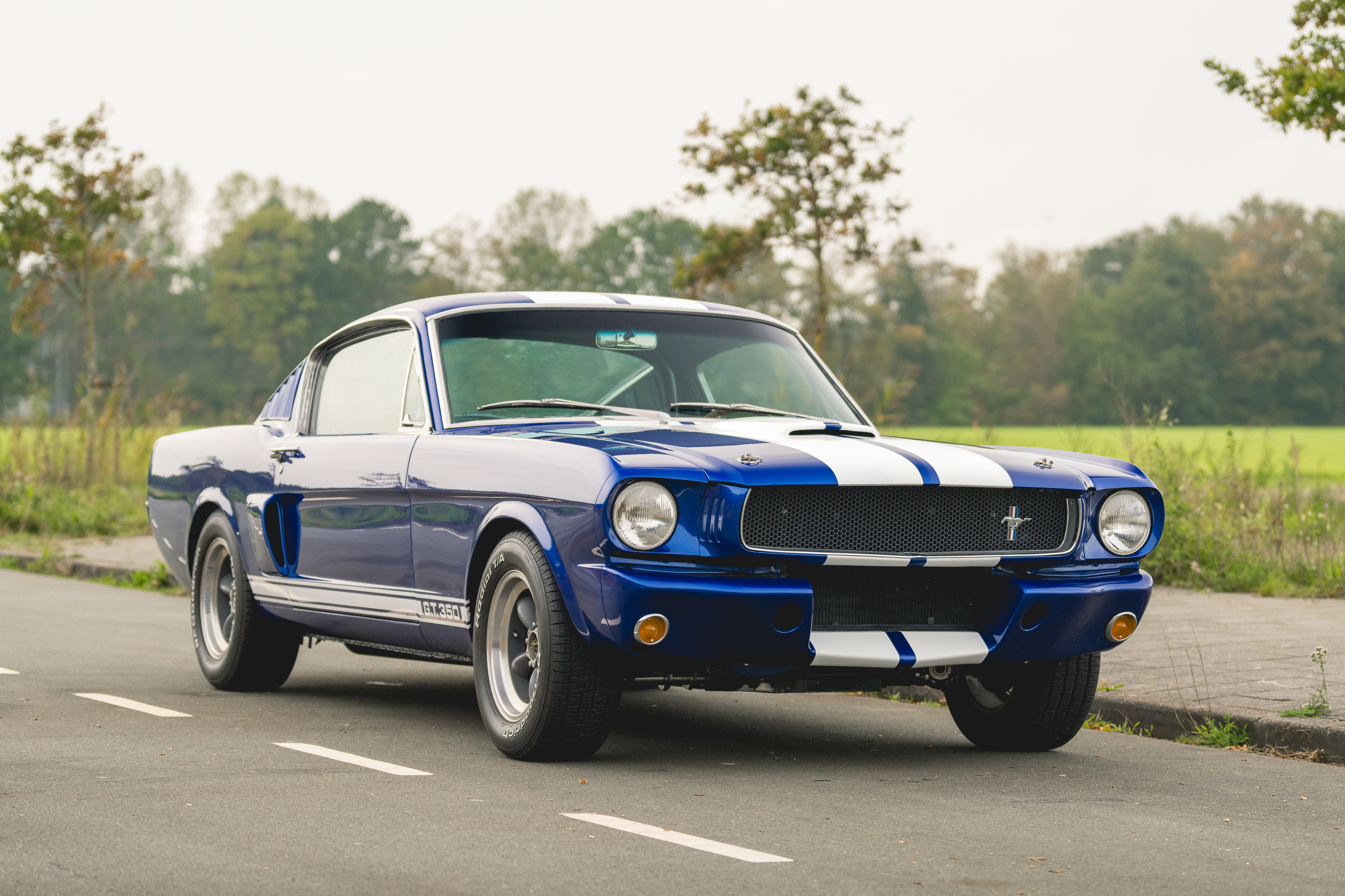 1965 Ford Mustang Fastback - GT350R Tribute for sale by auction in