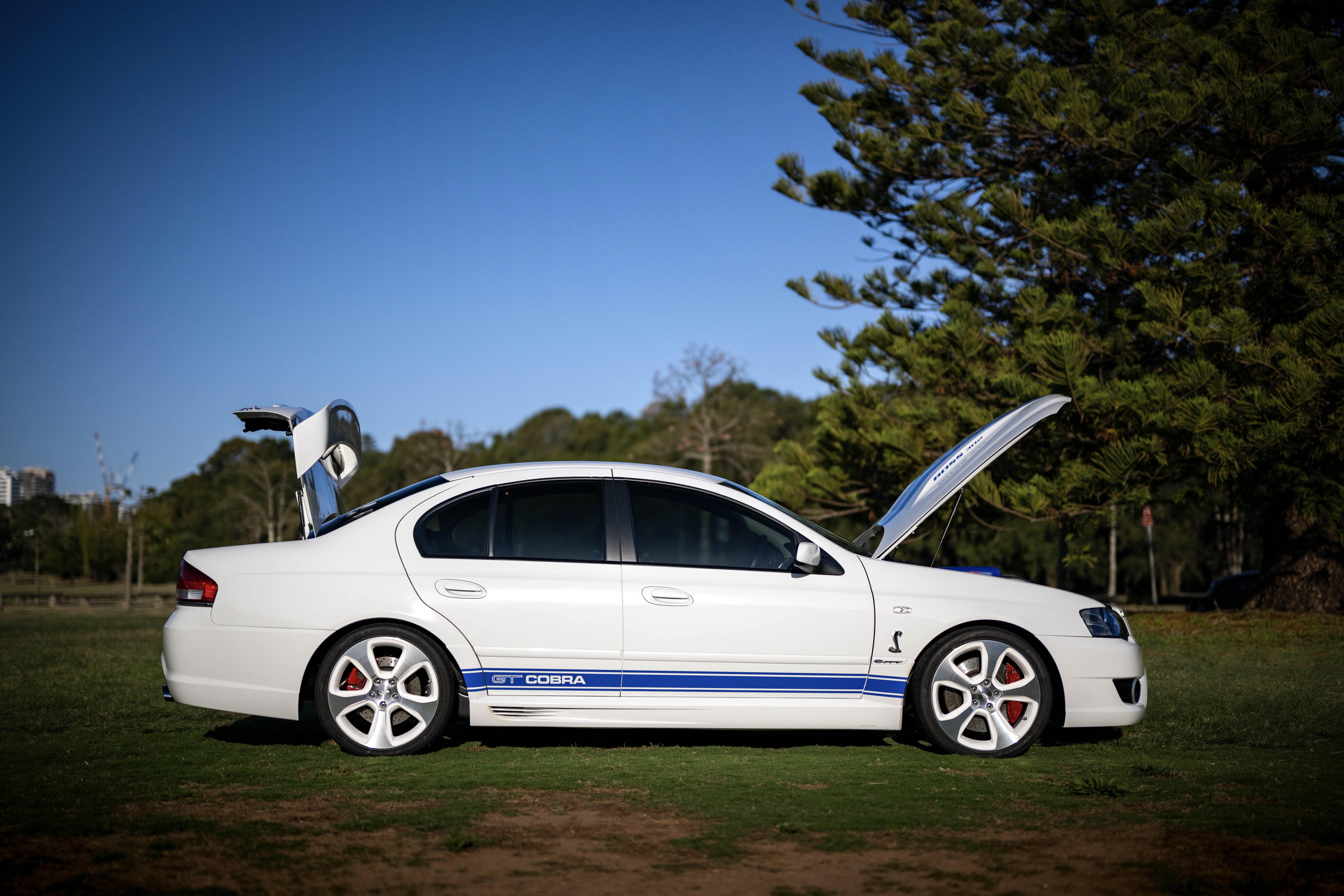 2008 Ford FPV GT Cobra R-Spec - 22,431 Km for sale by auction in ...
