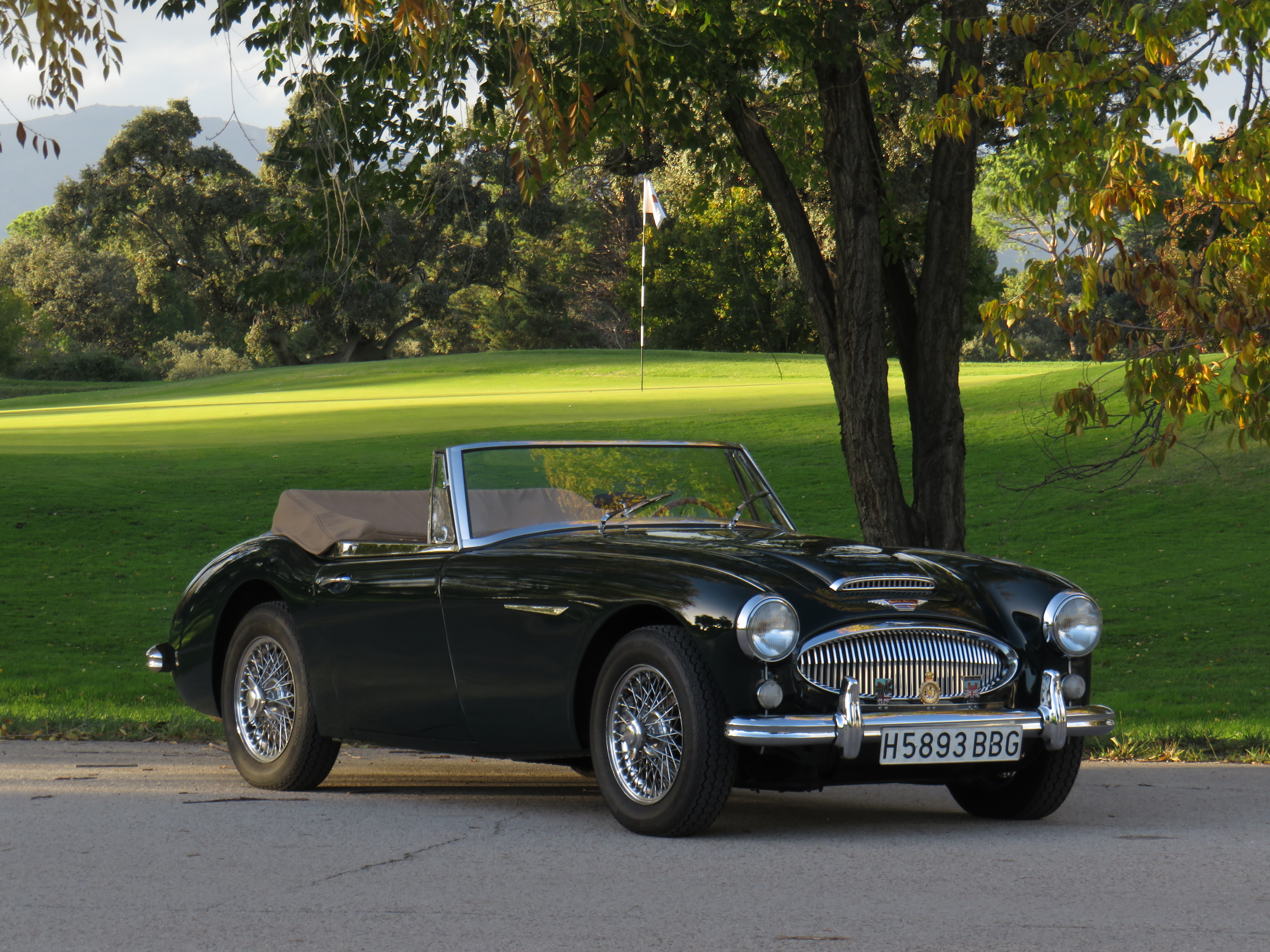 1965 Austin Healey 3000 MK3 (BJ8)