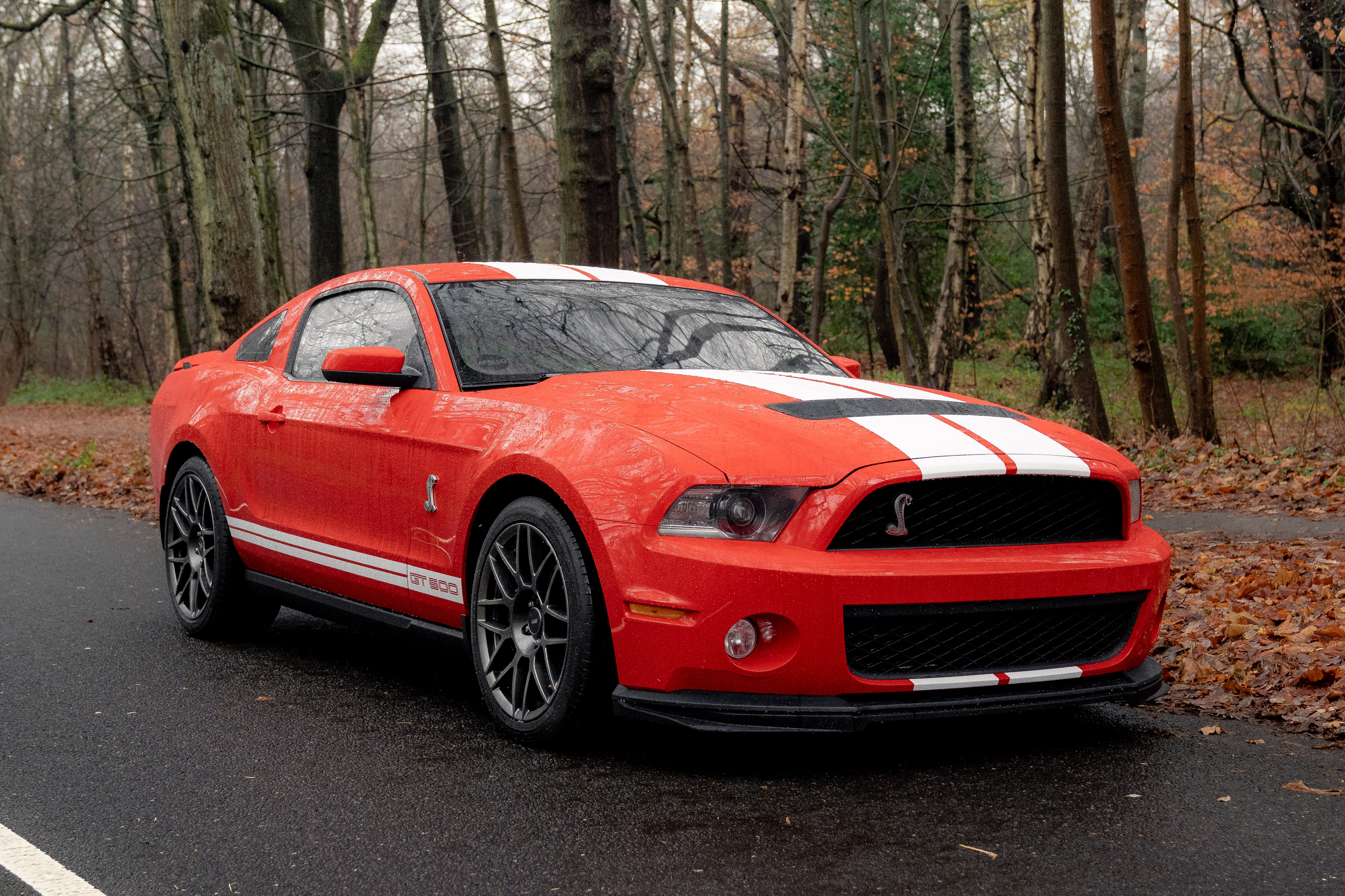 2010 Ford Shelby Mustang GT500