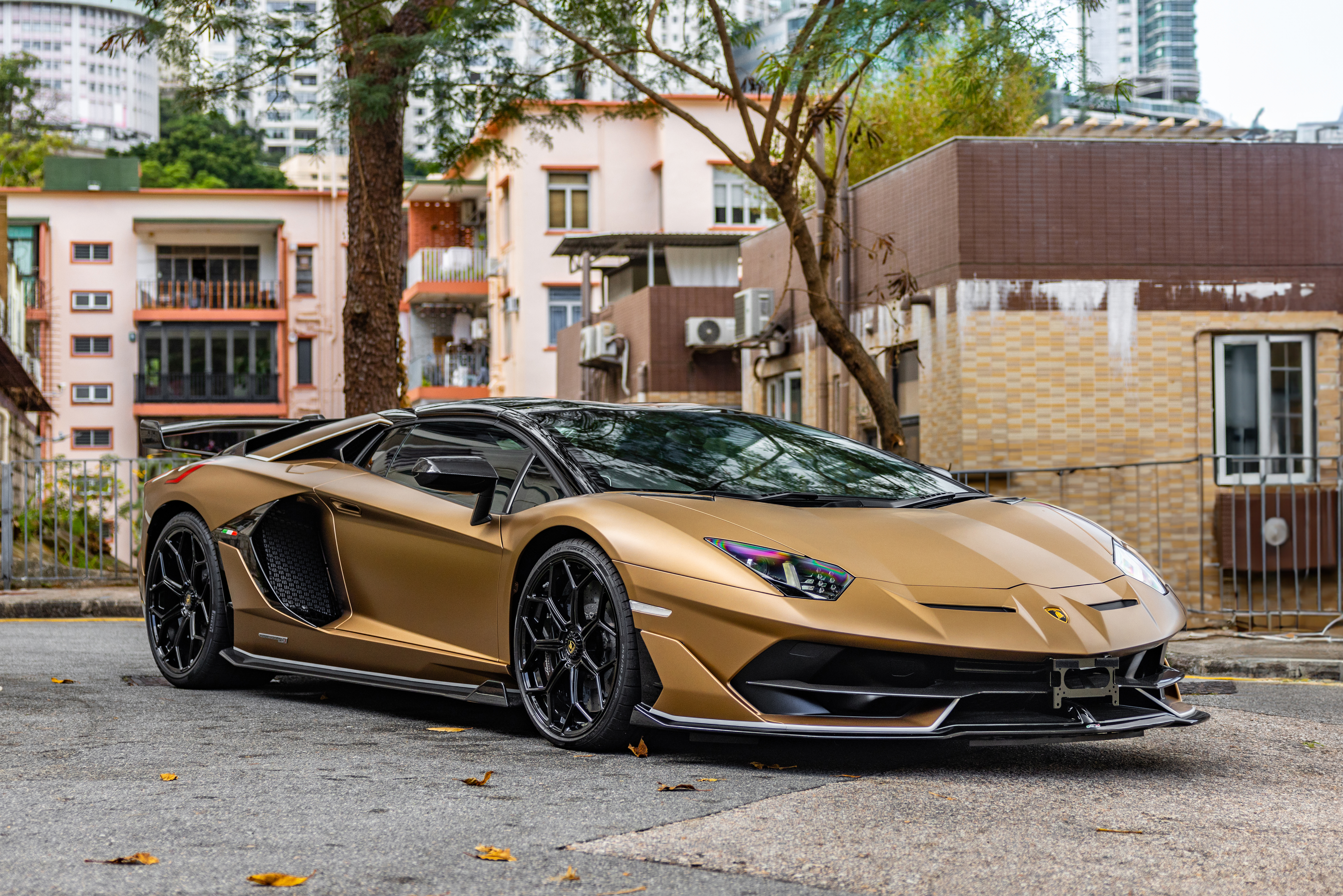 2019 Lamborghini Aventador LP770-4 SVJ Roadster - 185 KM