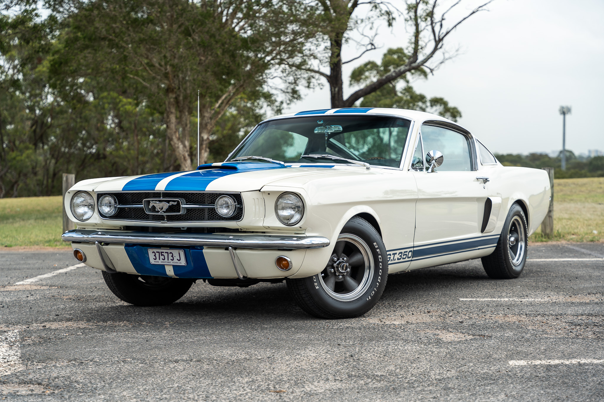 1965 Ford Mustang Fastback - Shelby GT350 Tribute