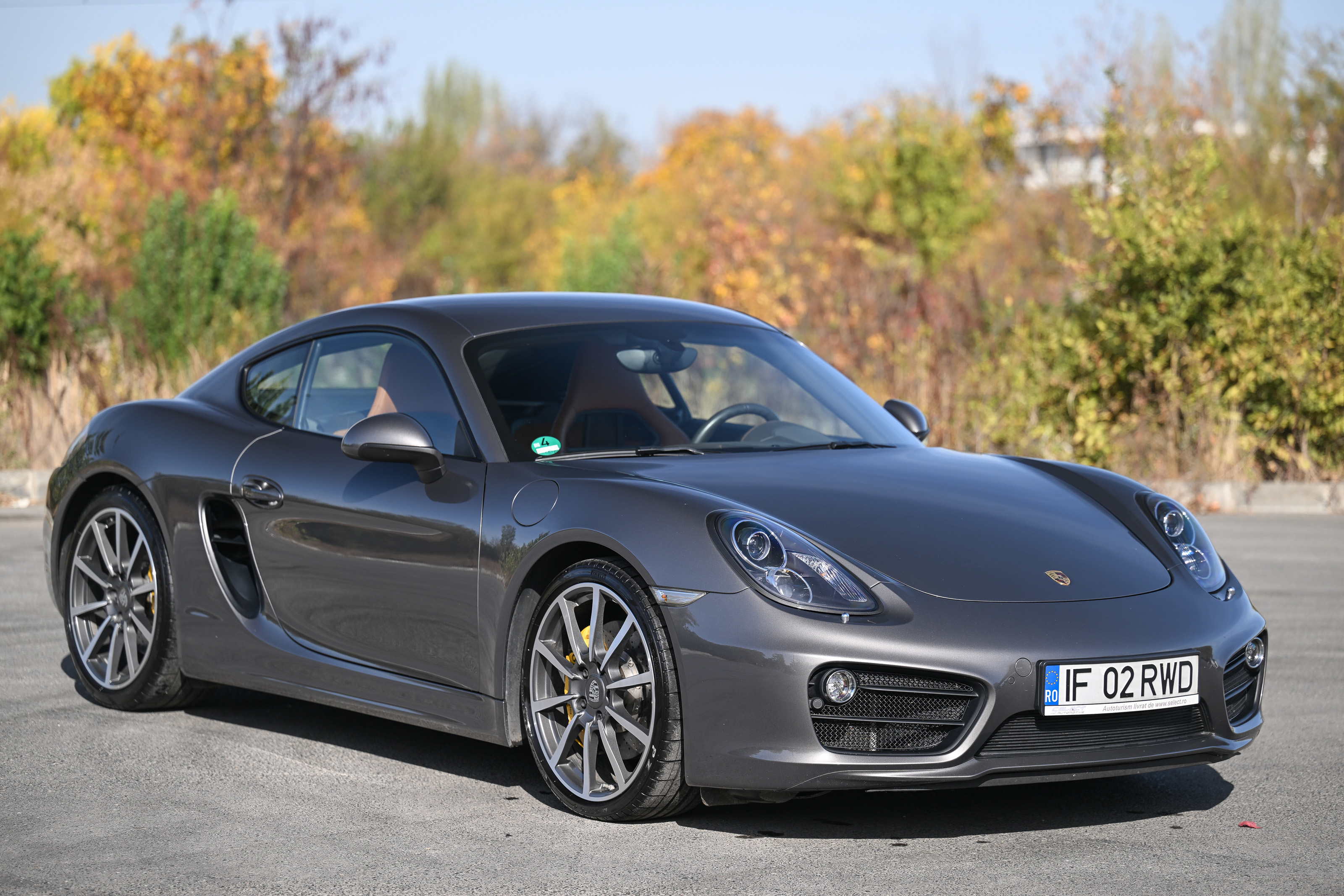 2013 Porsche (981) Cayman S