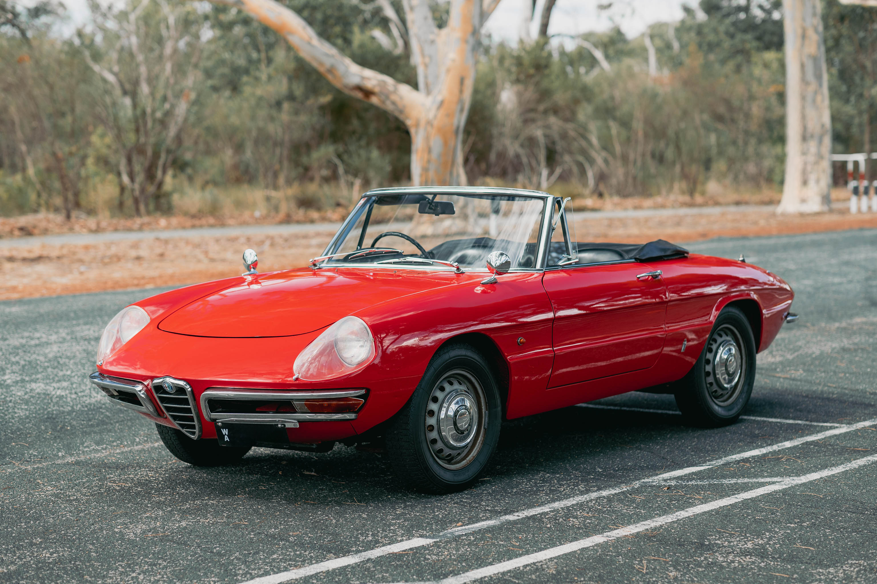 1966 Alfa Romeo Spider 1600 ‘Duetto’ - RHD