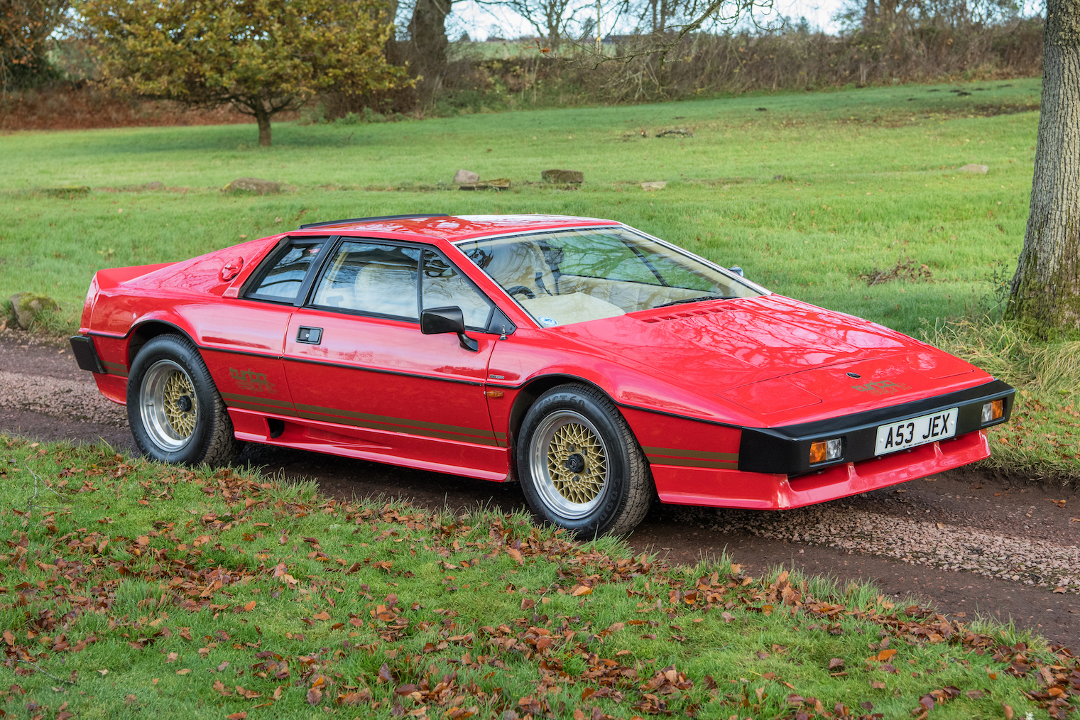 1983 LOTUS ESPRIT TURBO (S3)