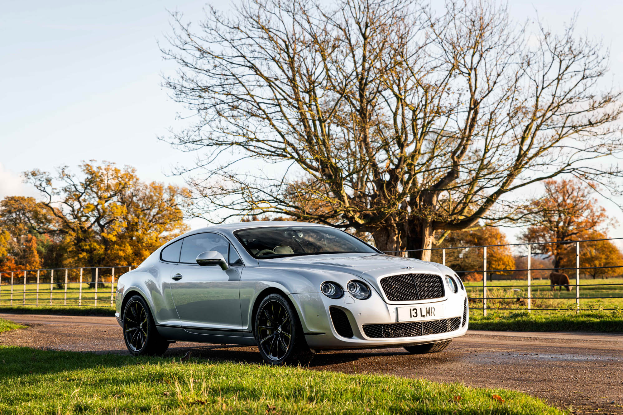 Bentley continental gt supersports