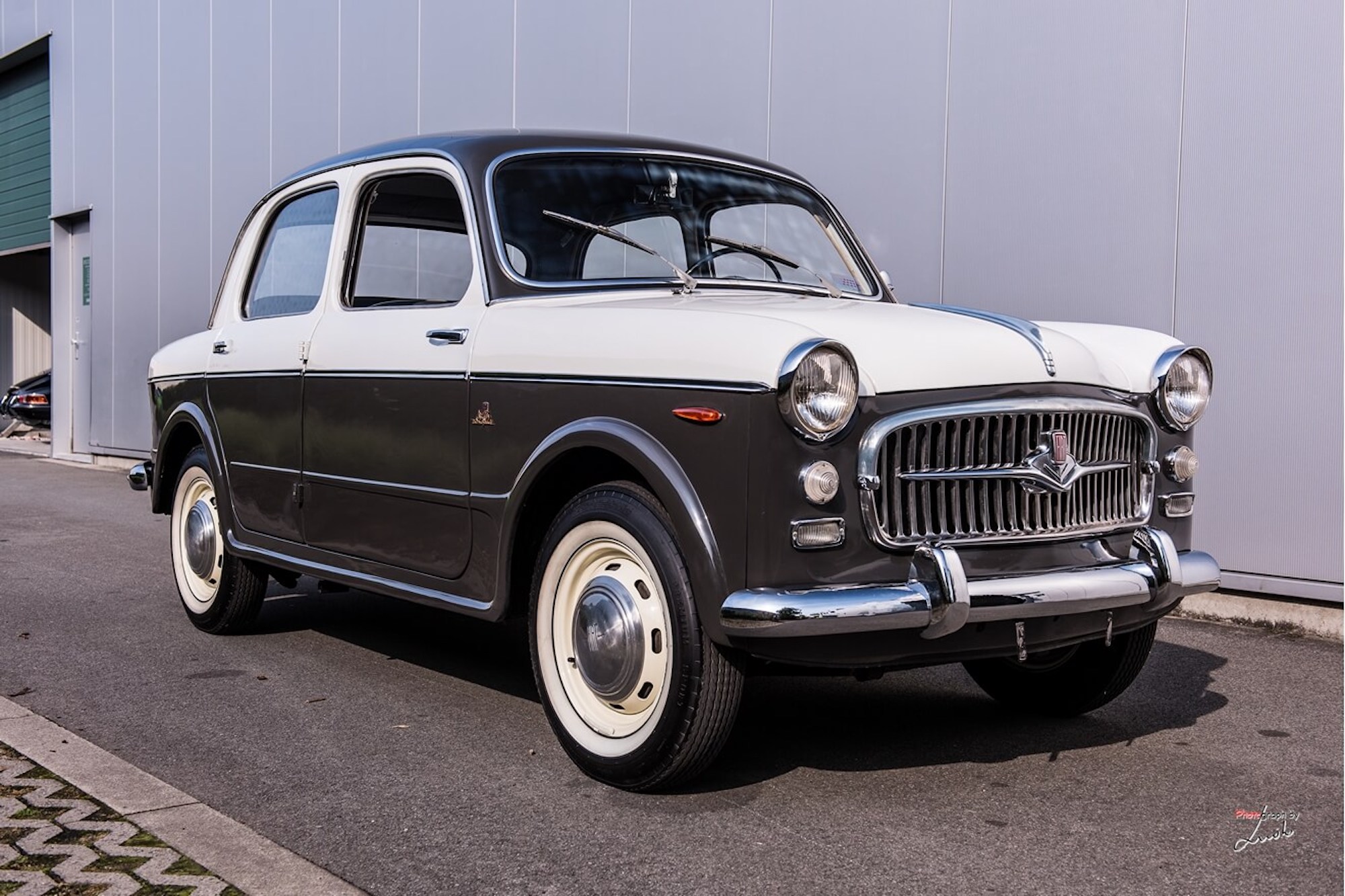 1956 FIAT 1100/103 TURISMO VELOCE BERLINA